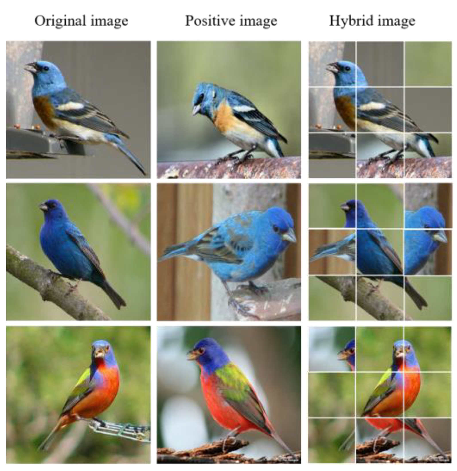 Entropy 25 00601 g003