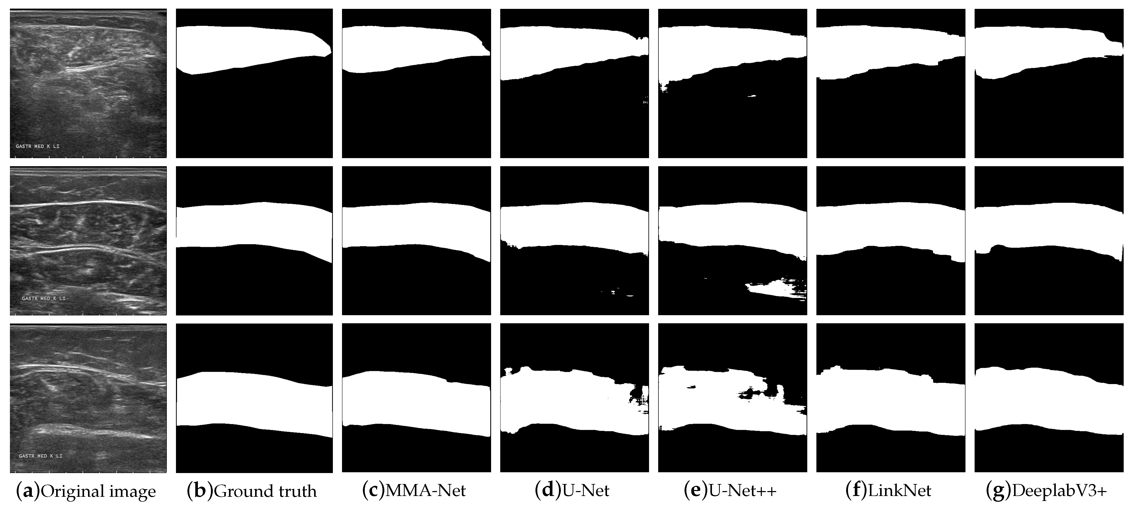 Entropy 25 00662 g008 Entropy 25 00662 g008