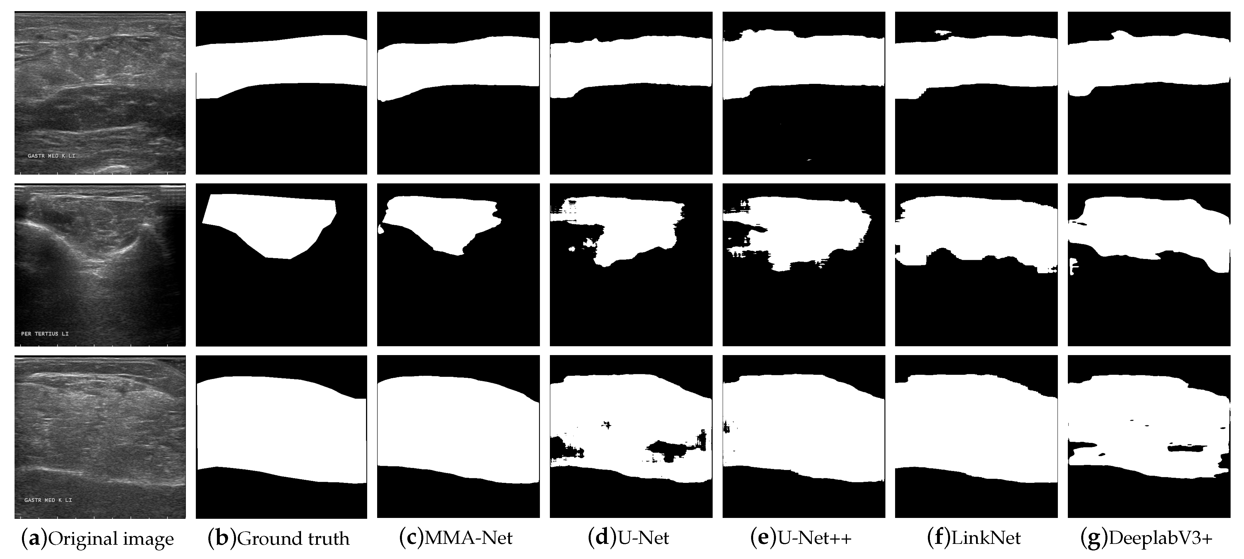 Entropy 25 00662 g009 Entropy 25 00662 g009