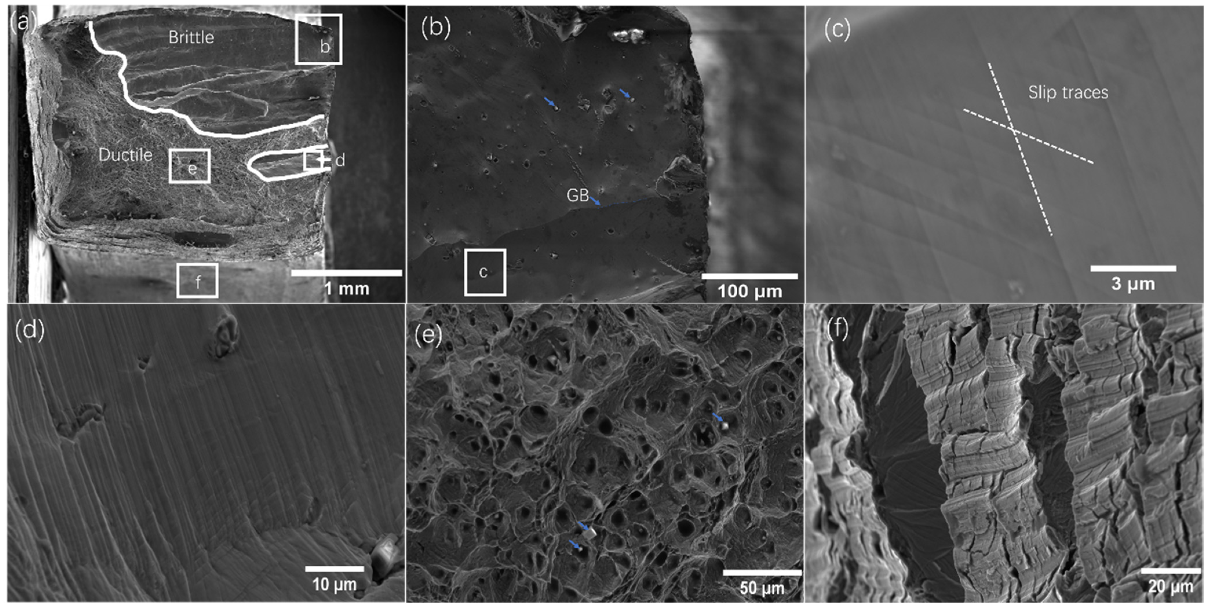 Entropy 25 00673 g005 Entropy 25 00673 g005