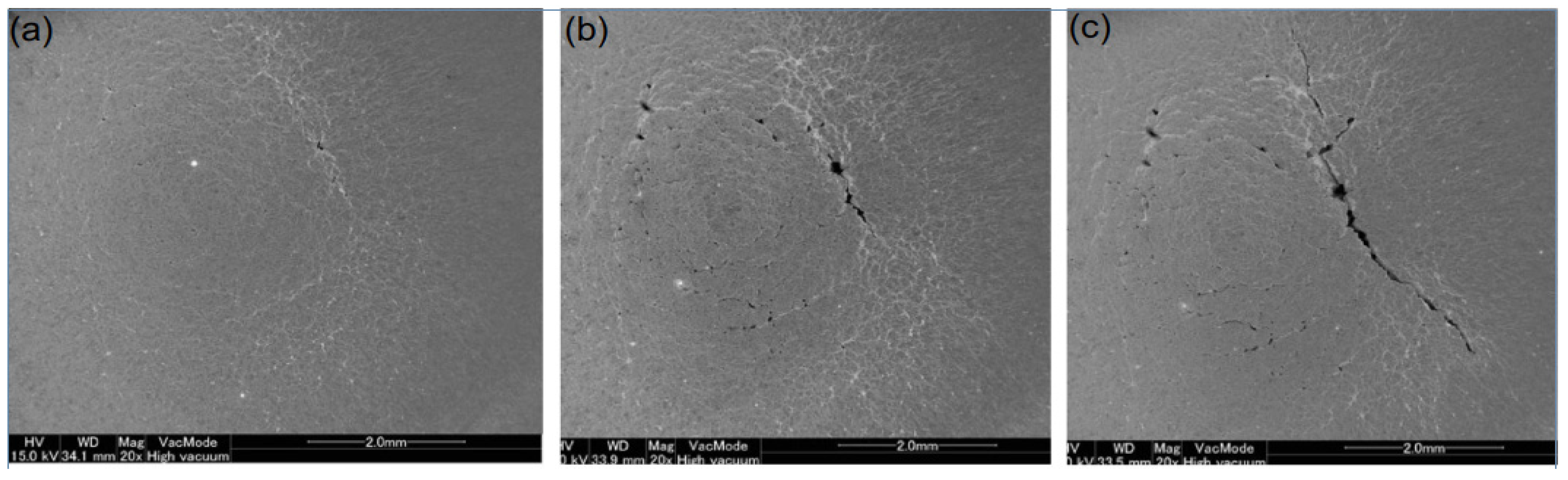 Entropy 25 00714 g006