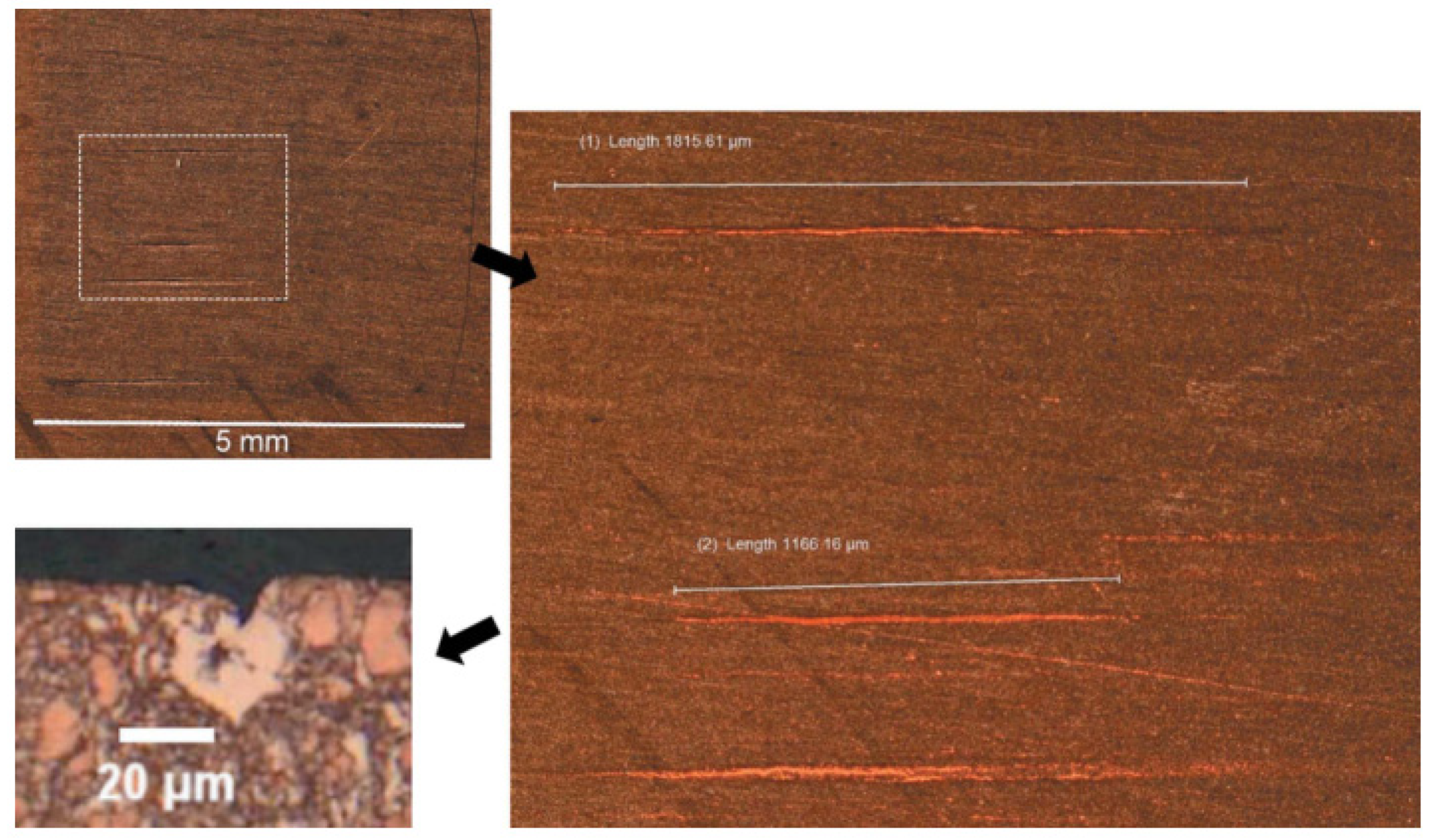 Entropy 25 00714 g010