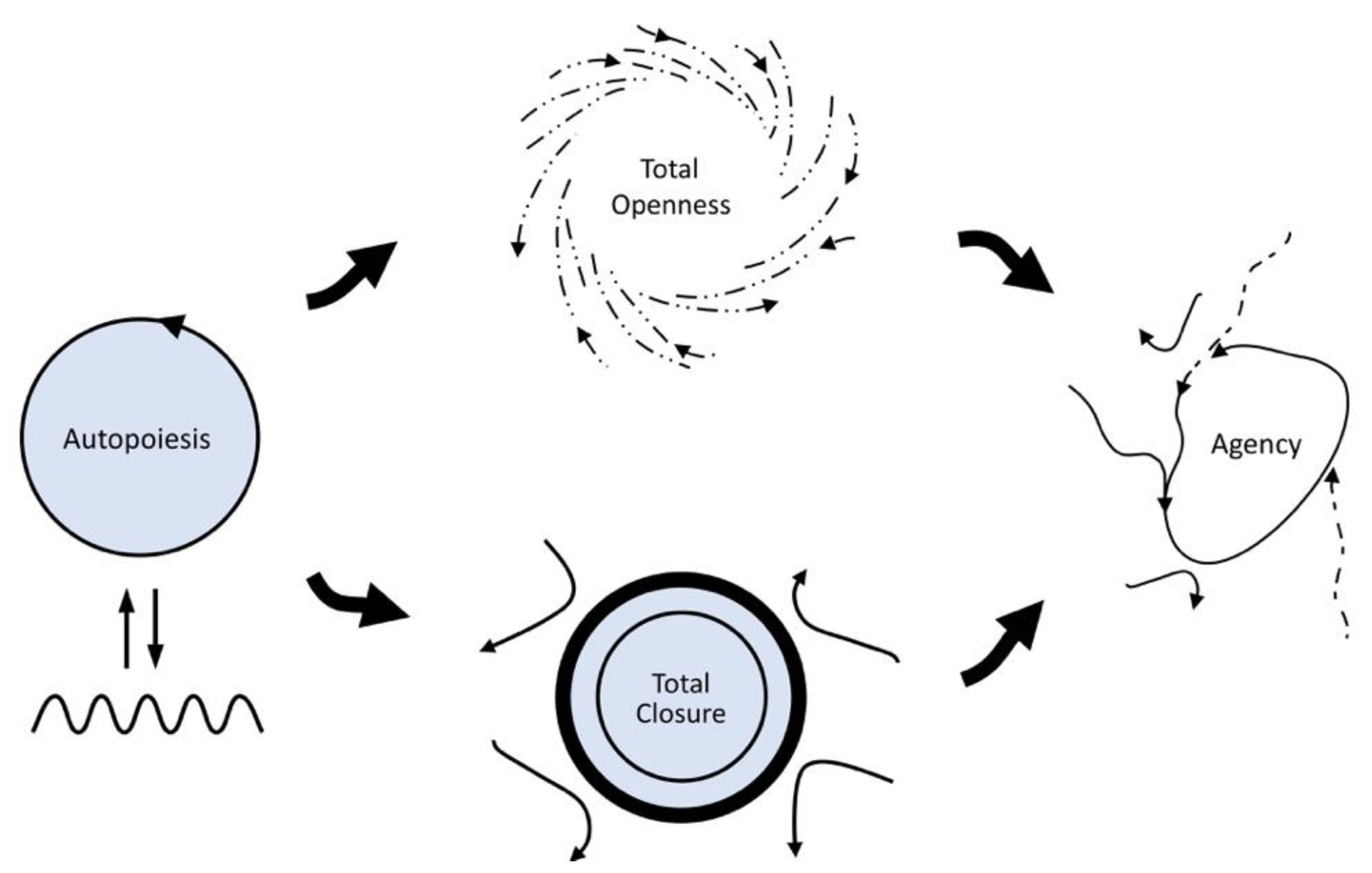 Entropy 25 00748 g002