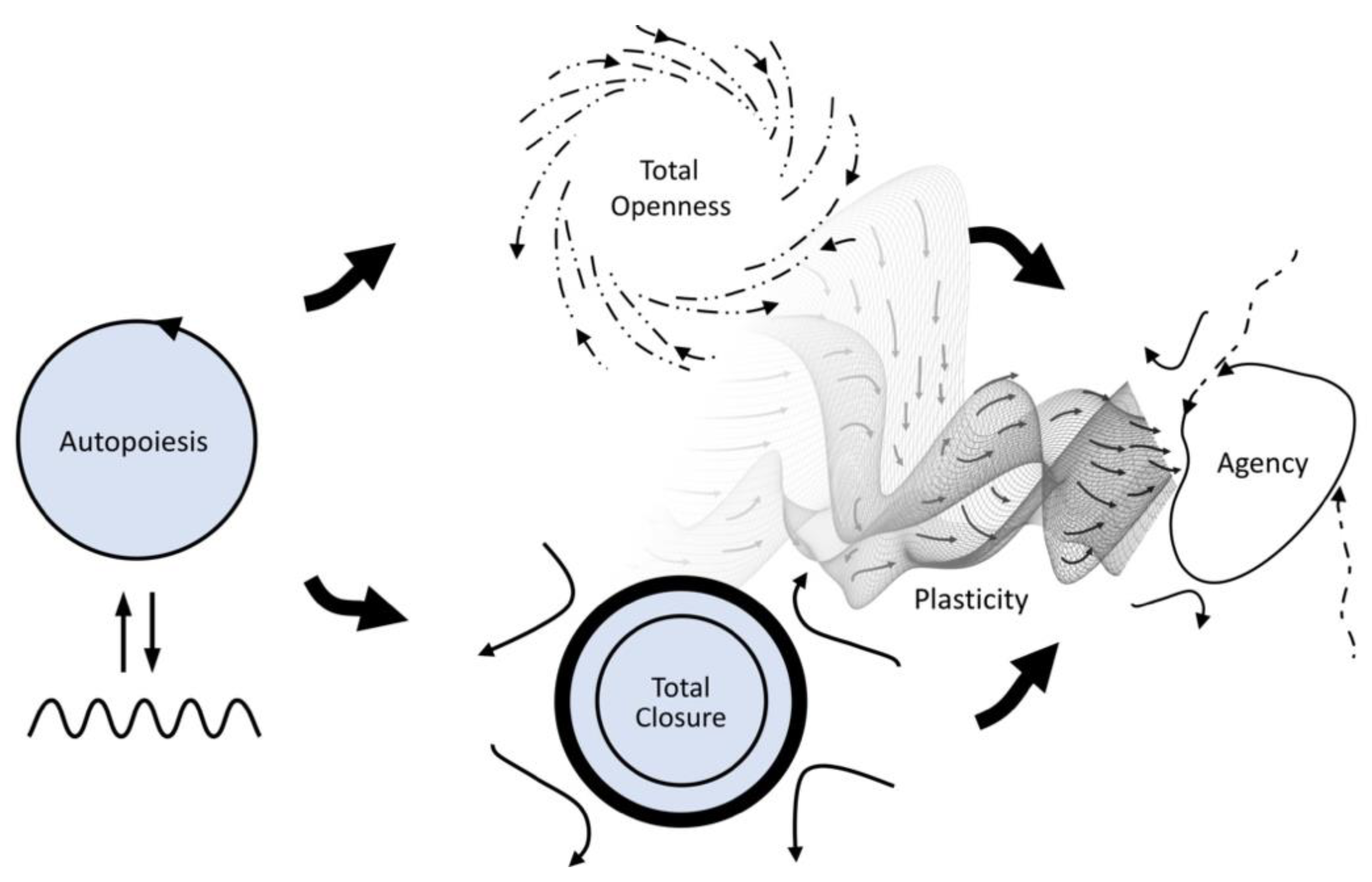 Entropy 25 00748 g003