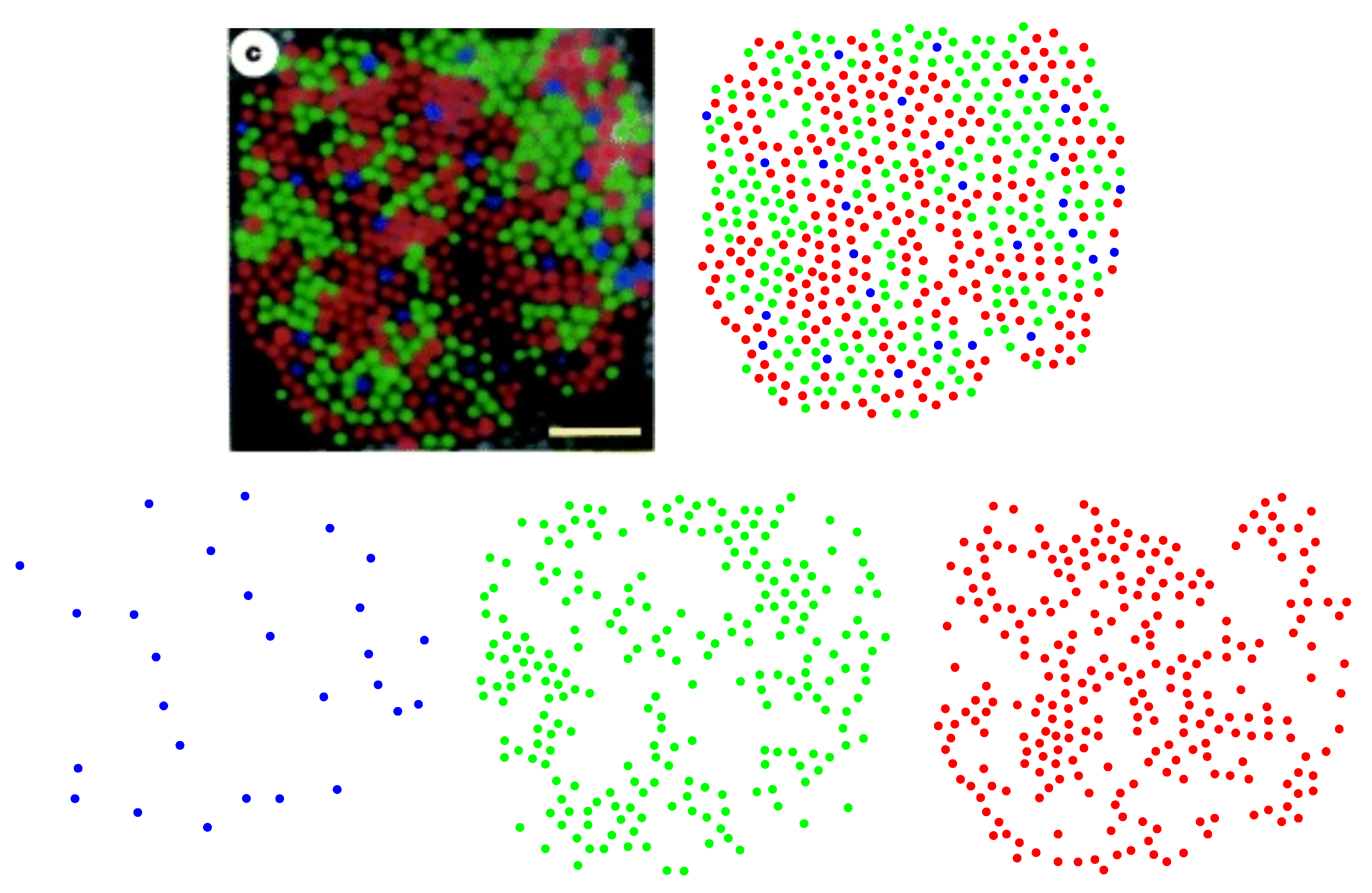 Entropy 25 00766 g001