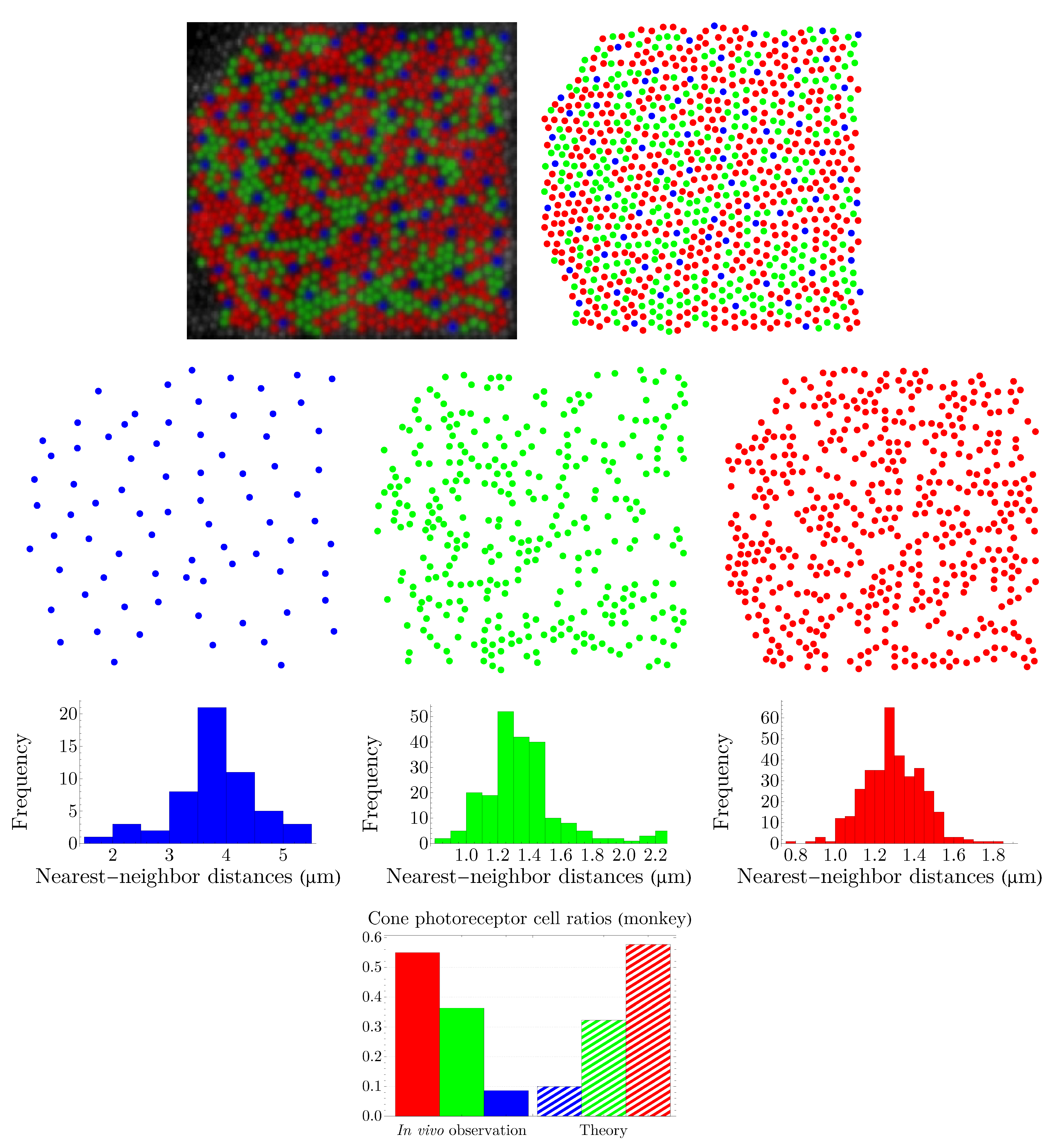 Entropy 25 00766 g007