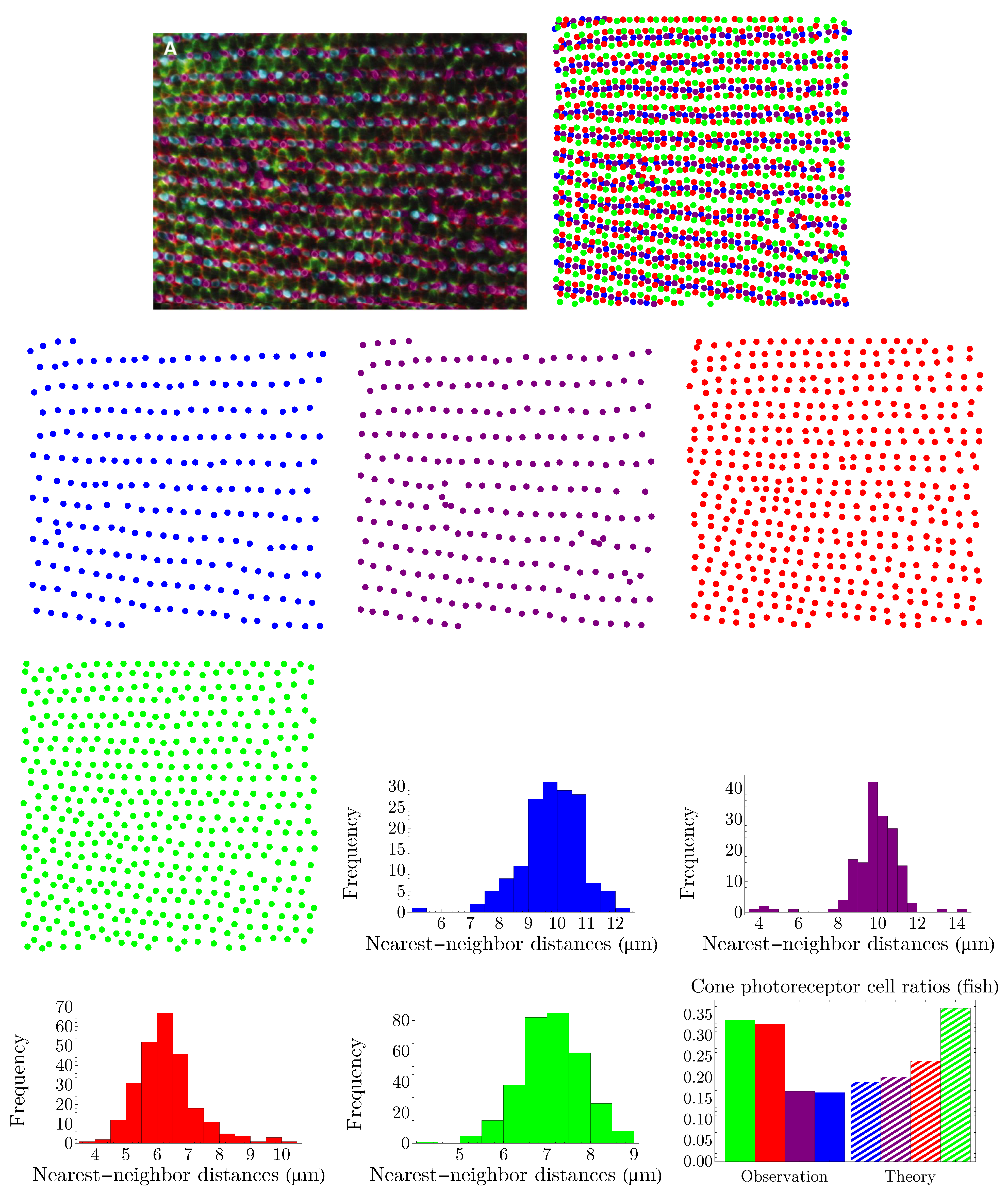 Entropy 25 00766 g009