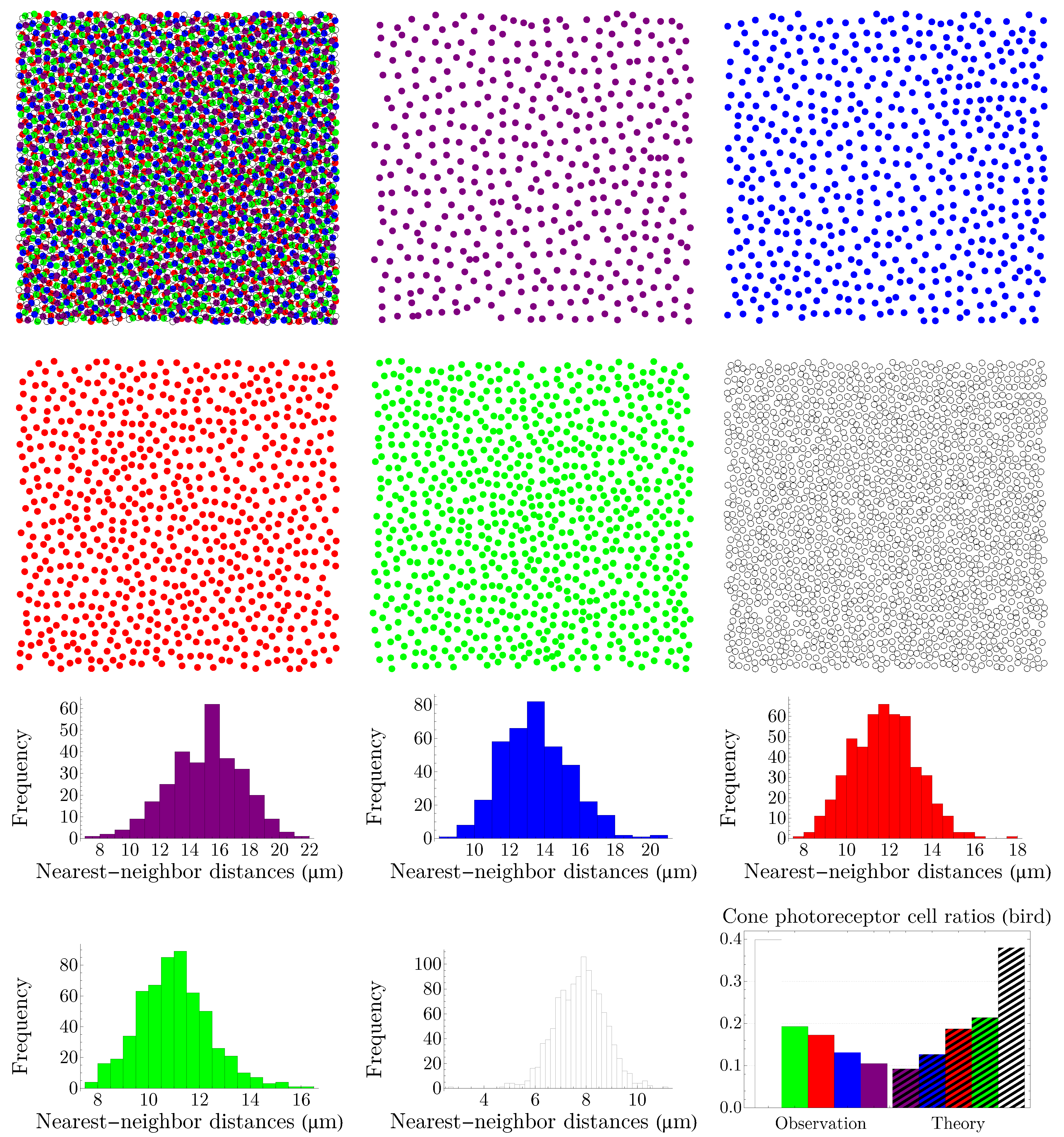 Entropy 25 00766 g010