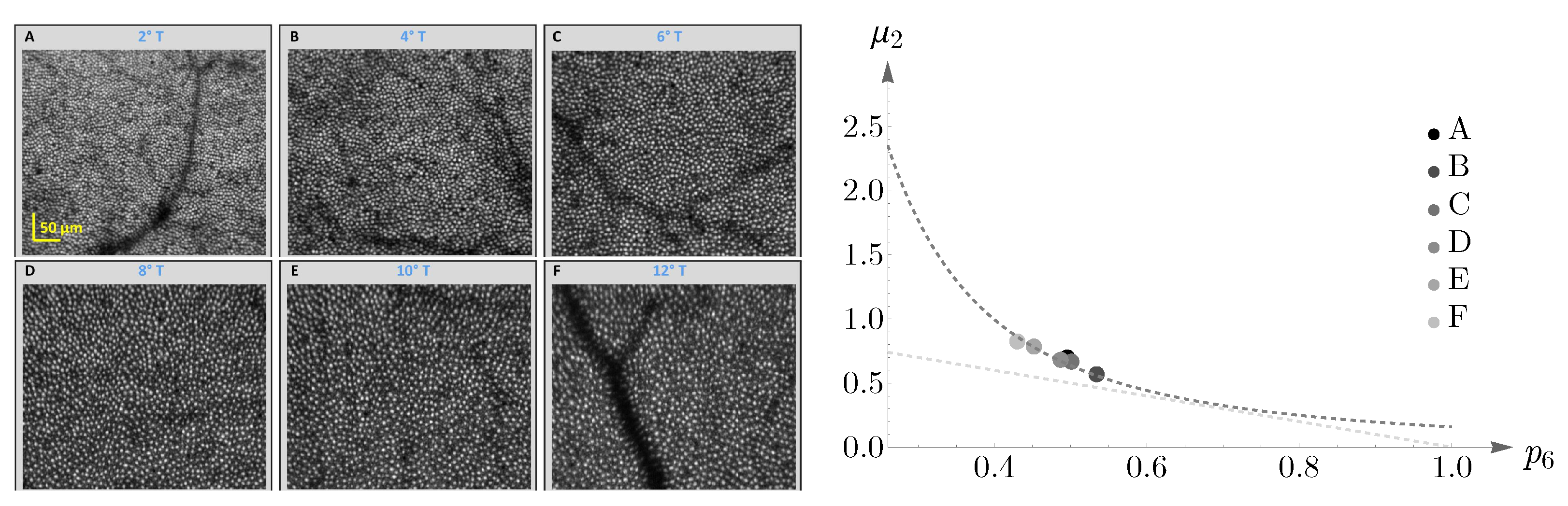 Entropy 25 00766 g018