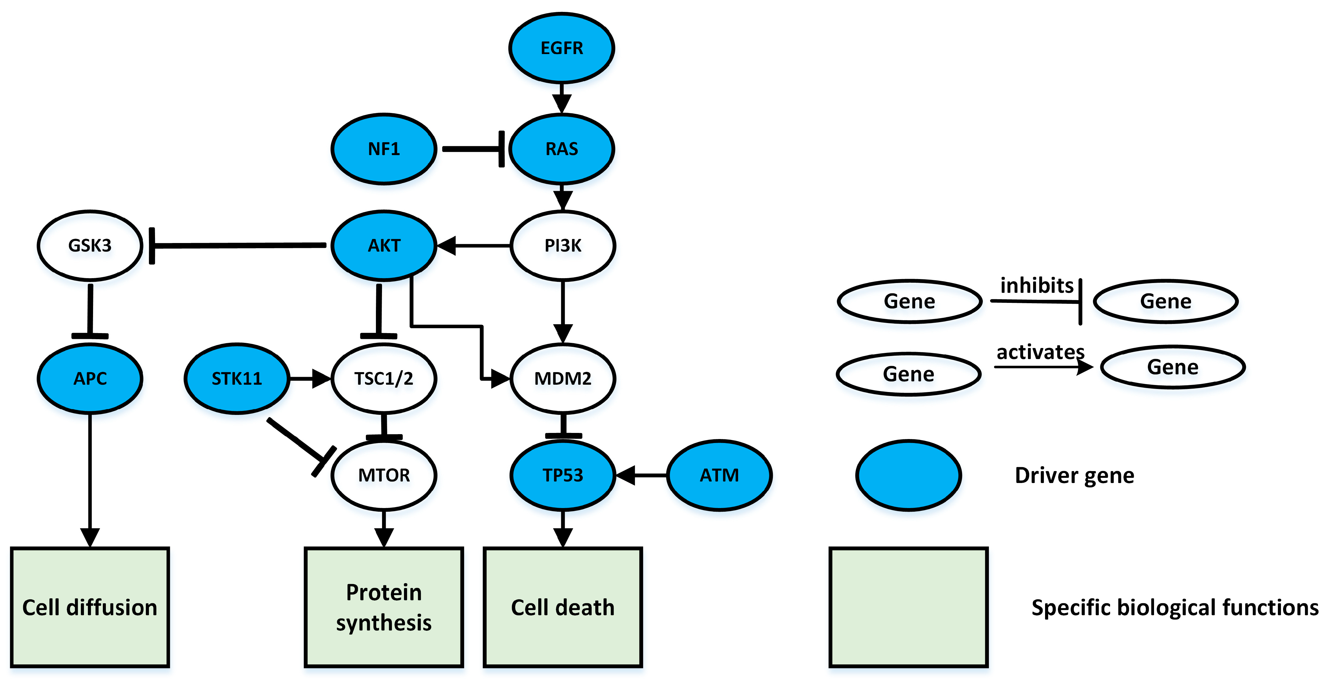 Entropy 25 00841 g003 Entropy 25 00841 g003