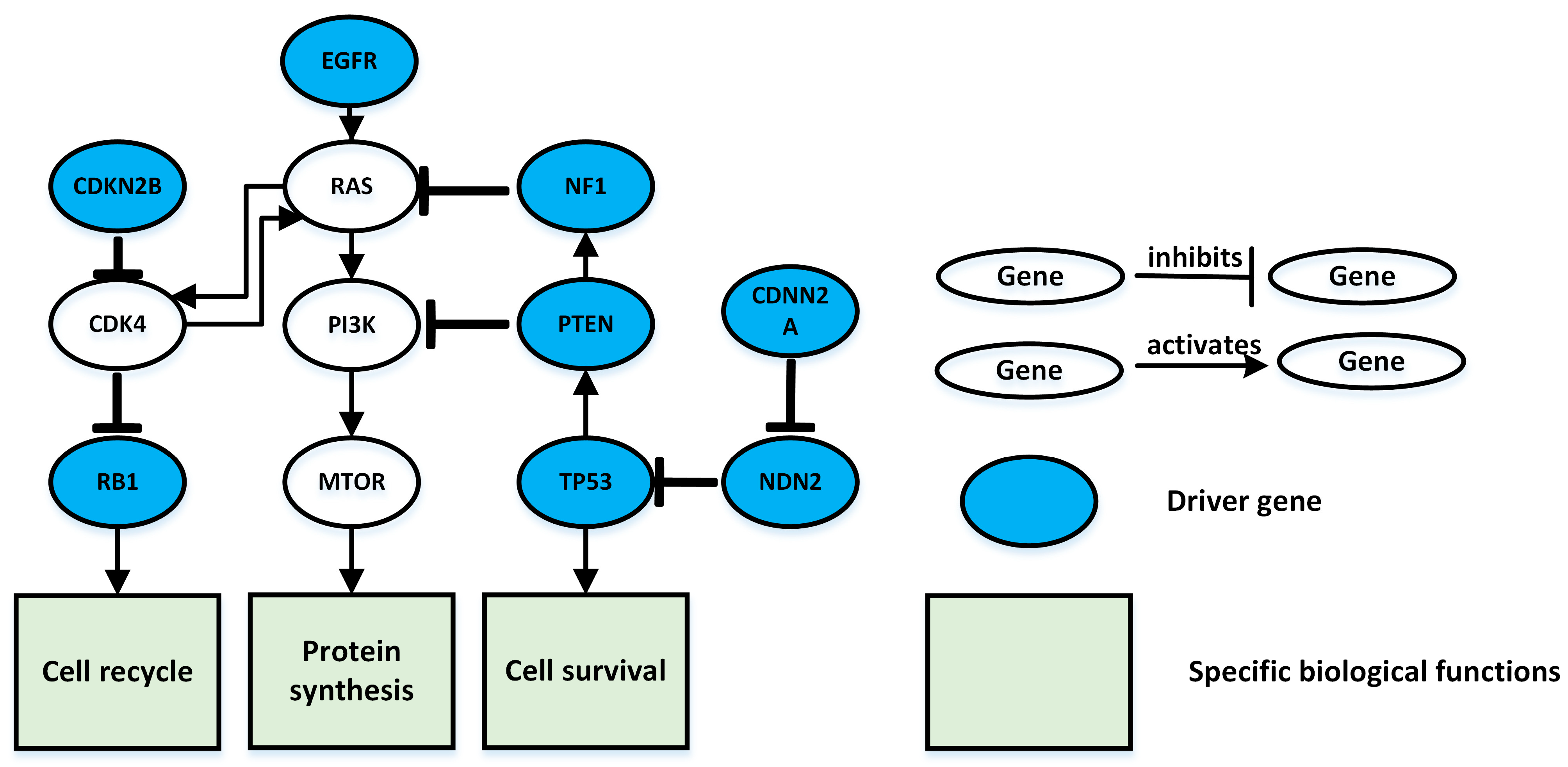 Entropy 25 00841 g005 Entropy 25 00841 g005