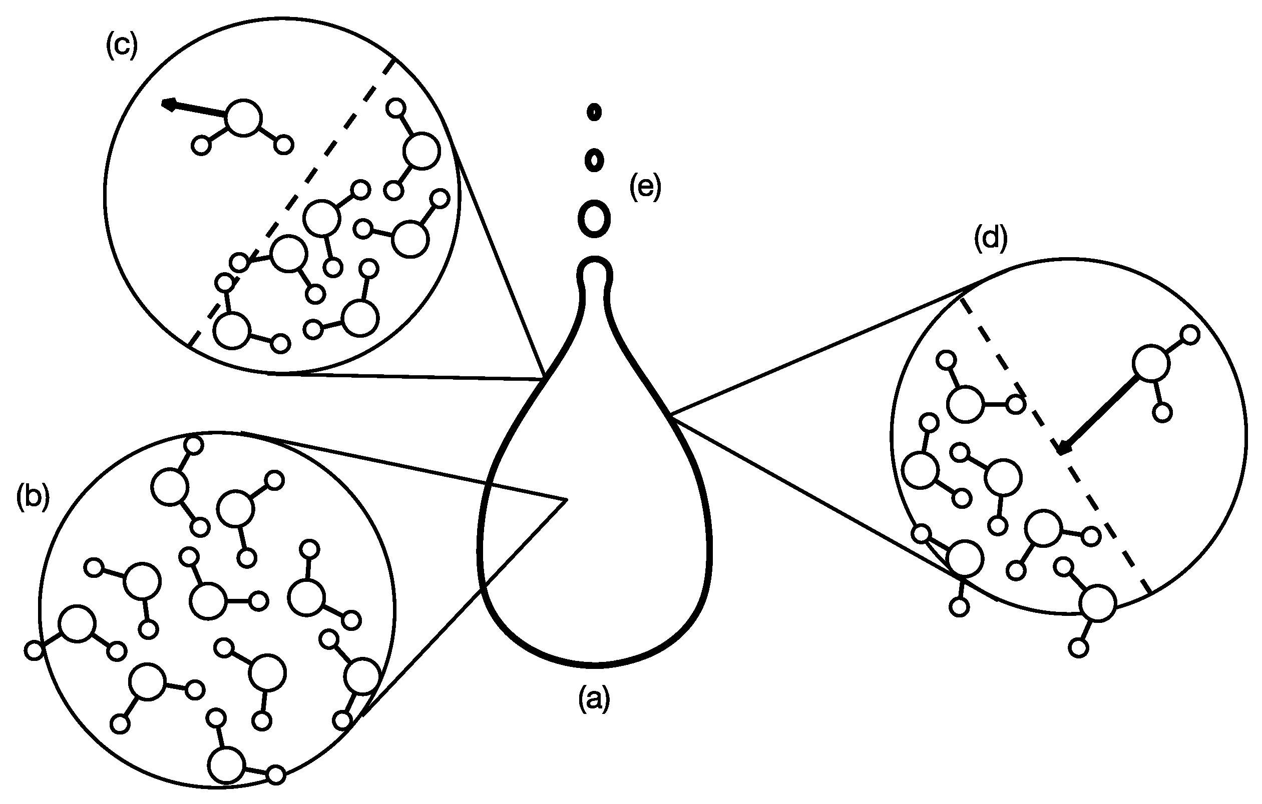 Entropy 25 00846 g002