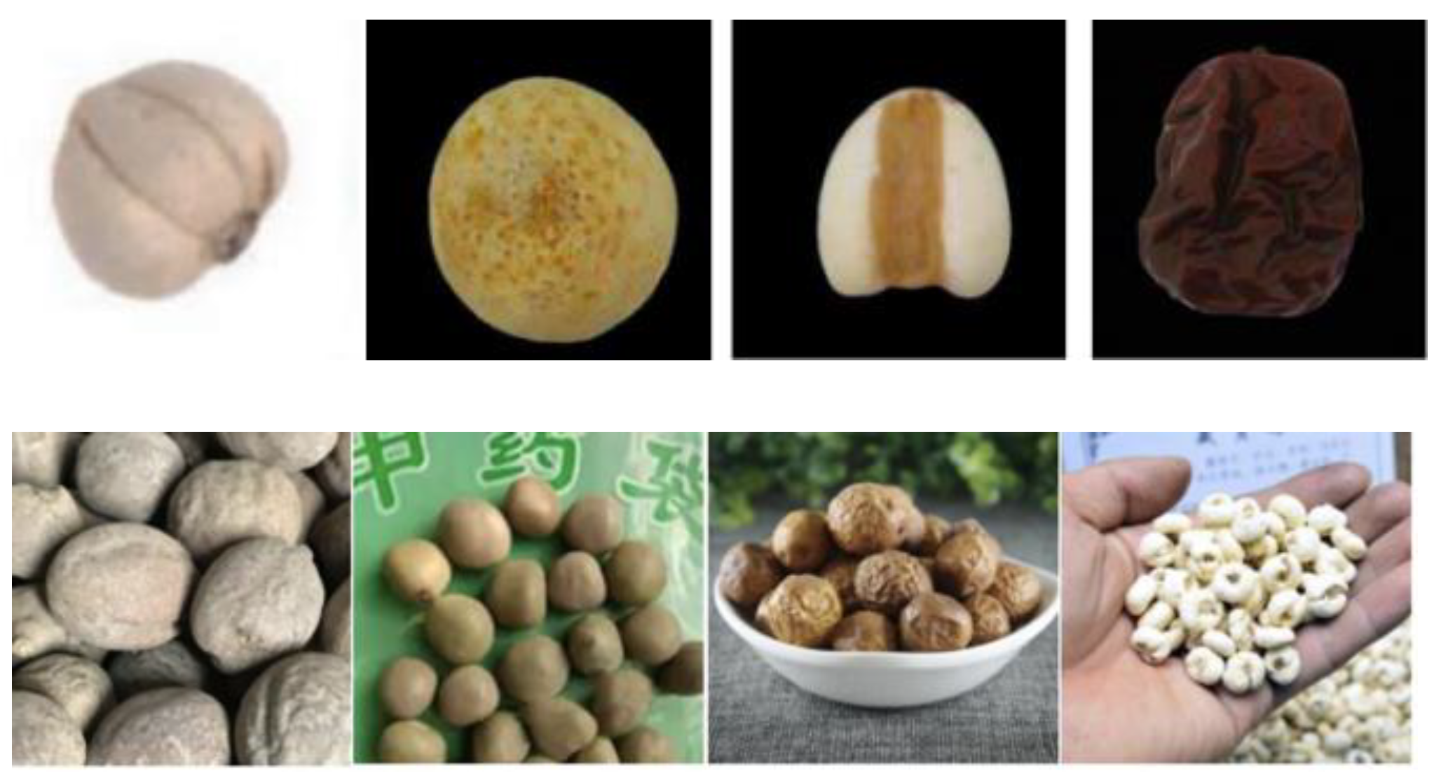 Entropy 25 00847 g001