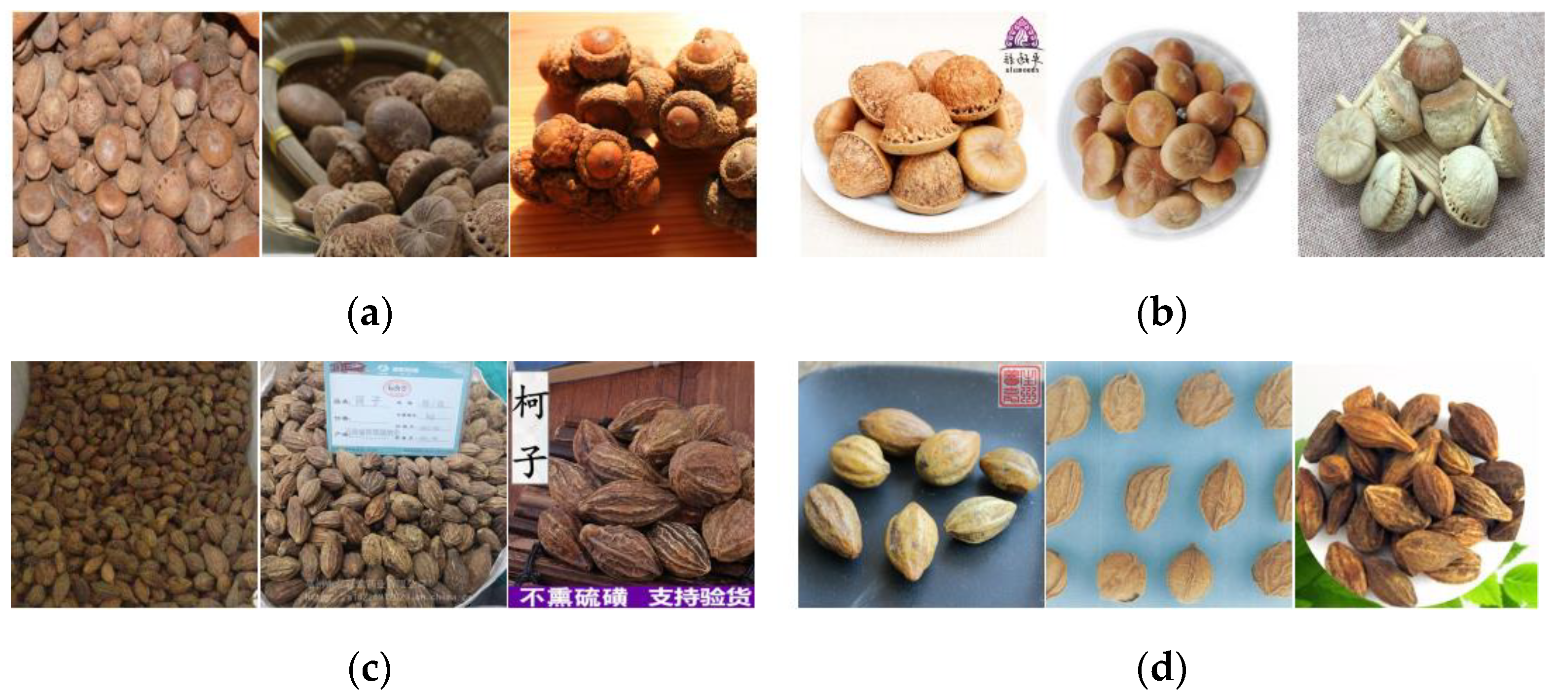 Entropy 25 00847 g002