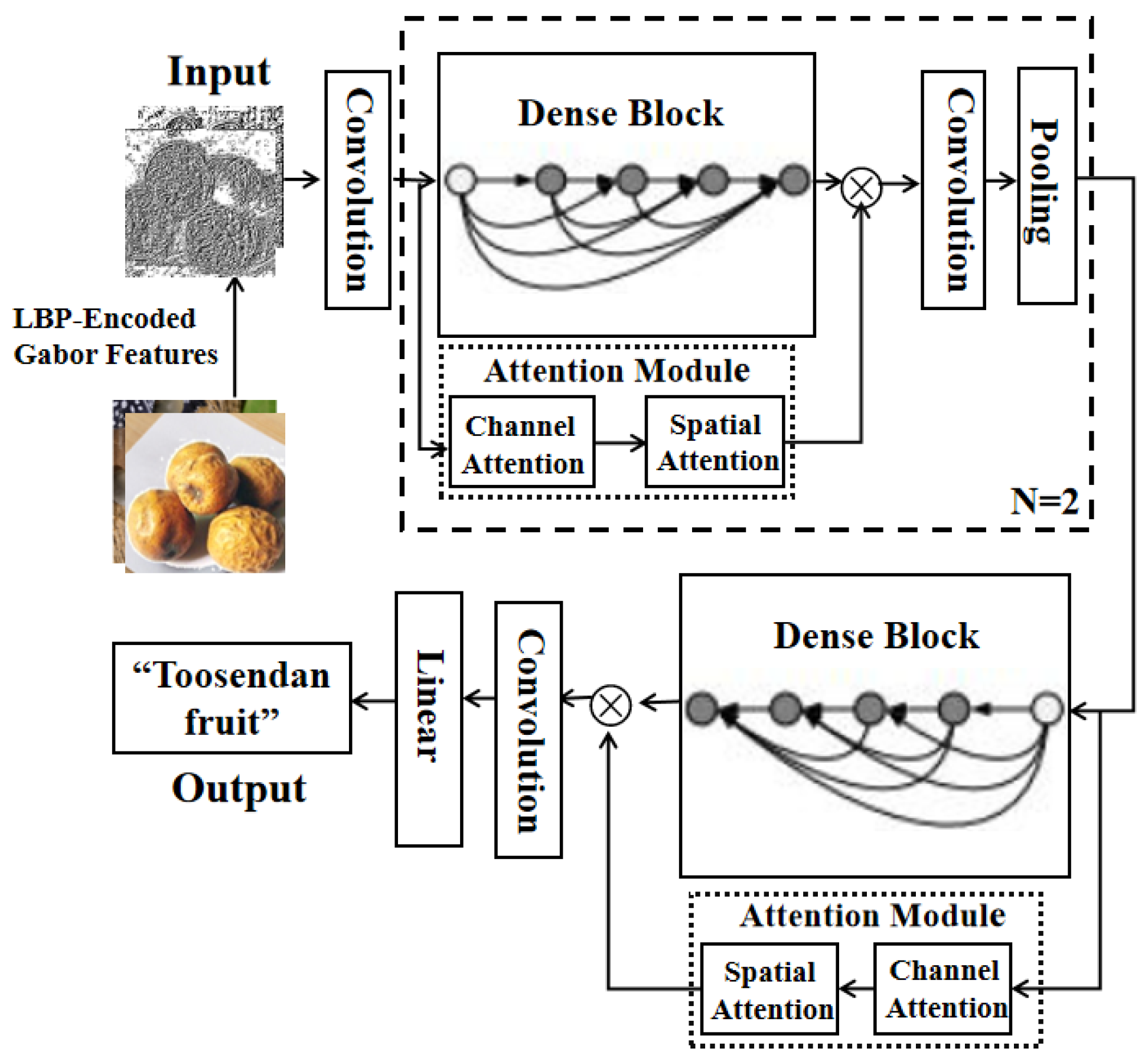 Entropy 25 00847 g003