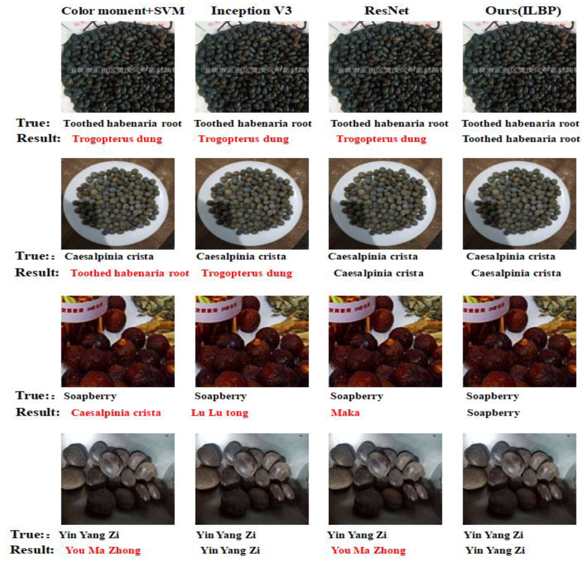 Entropy 25 00847 g007