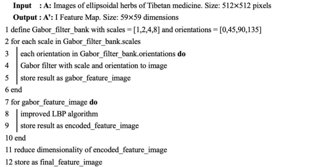 Entropy 25 00847 i001