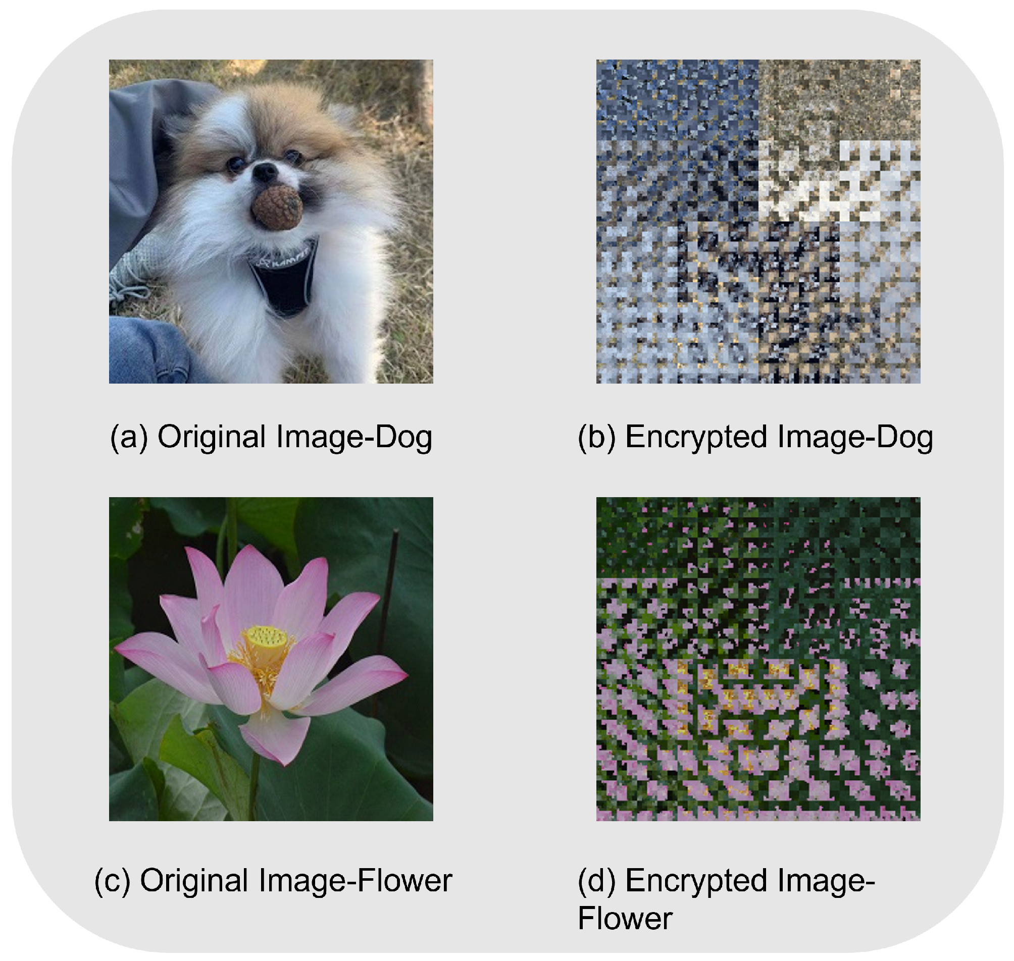 Entropy 25 00865 g003