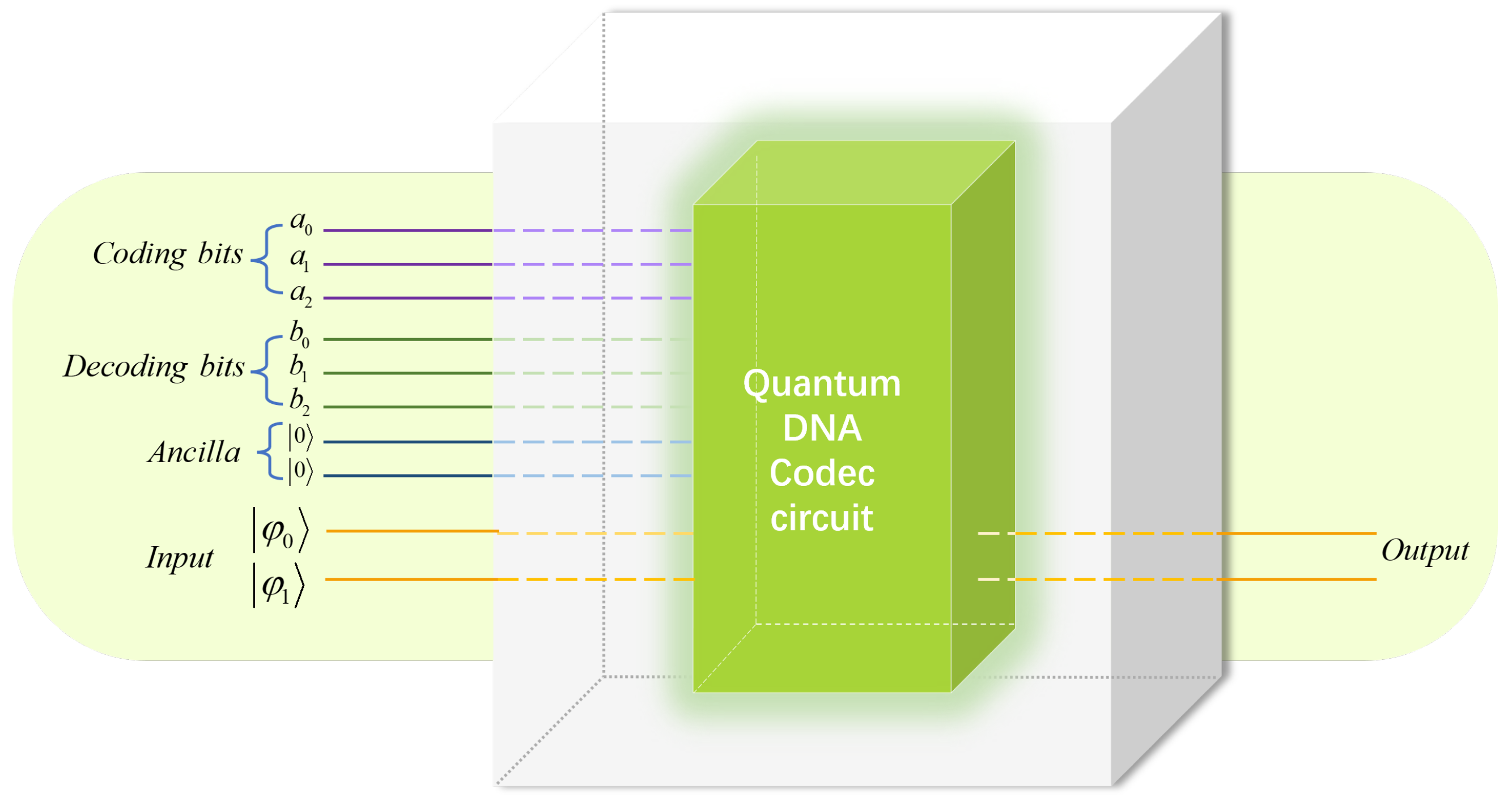 Entropy 25 00865 g005