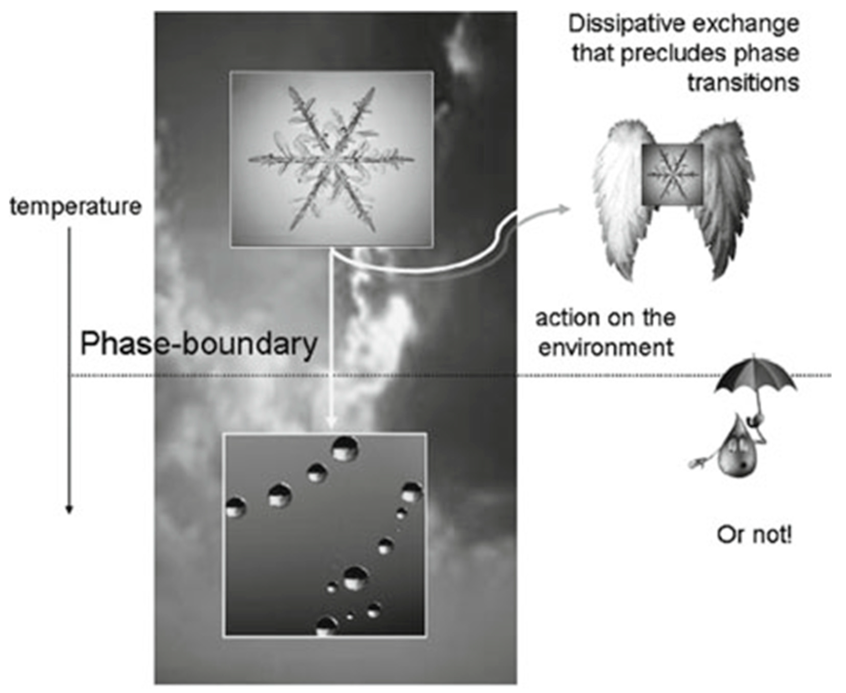 Entropy 25 00872 g003