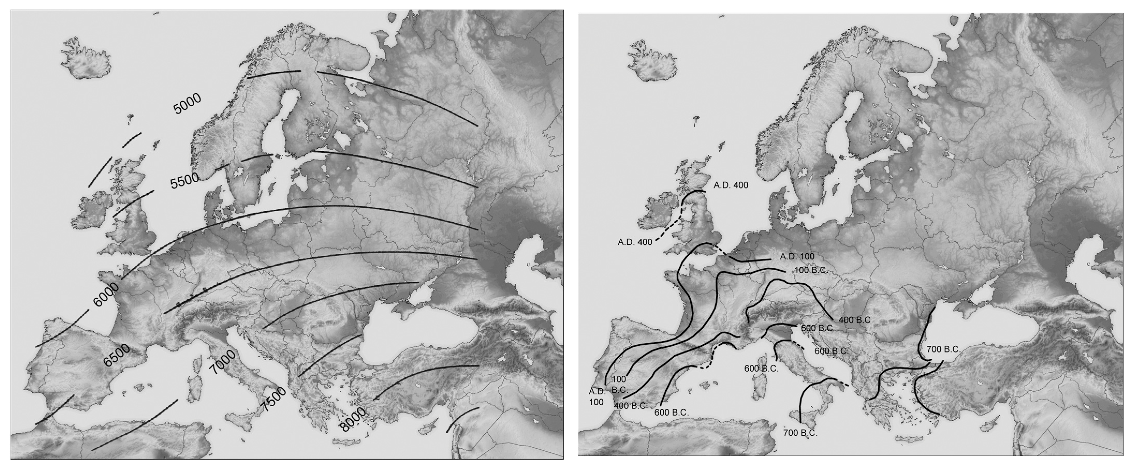 Entropy 25 00872 g005