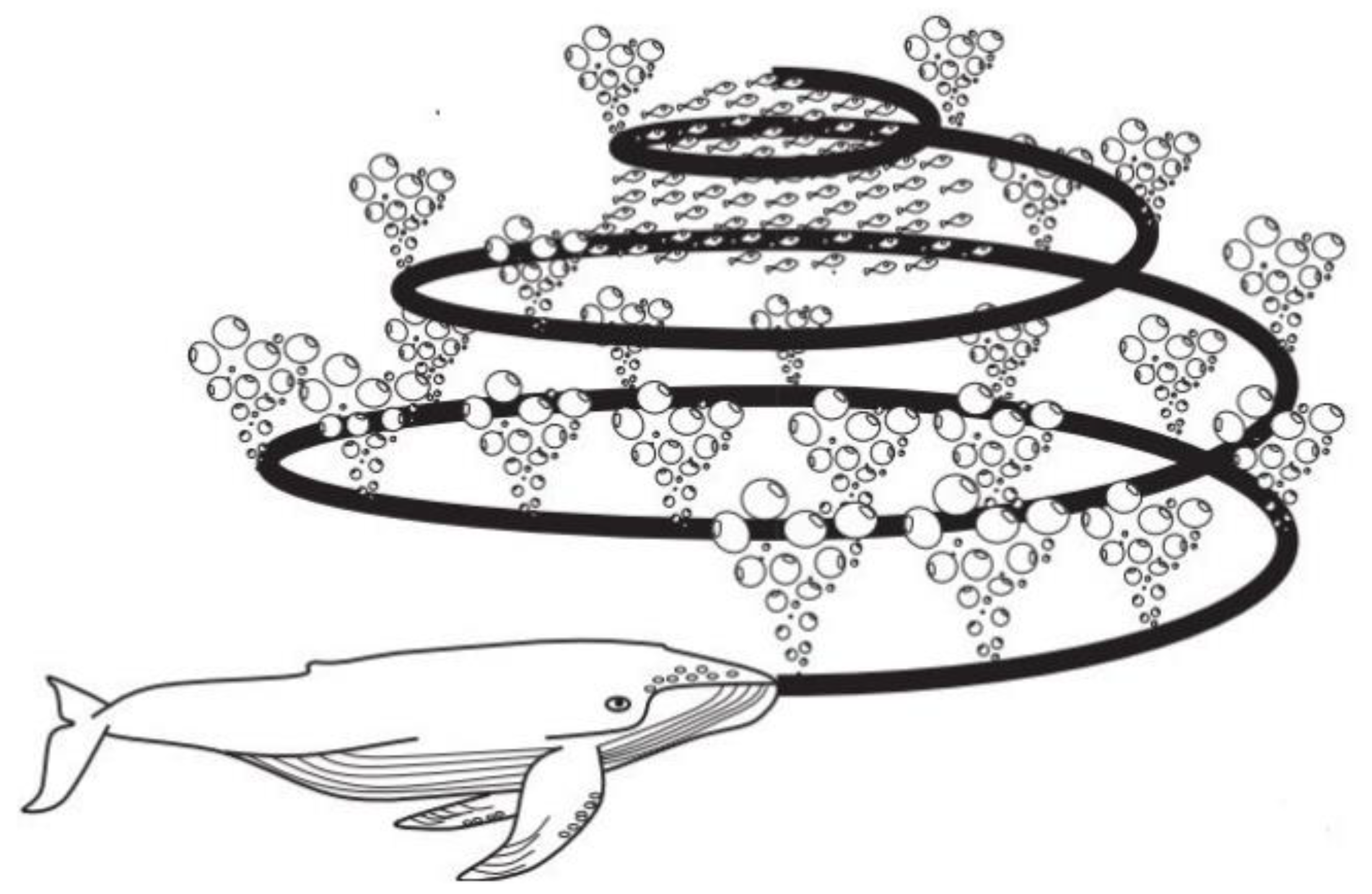 Entropy 25 00889 g001