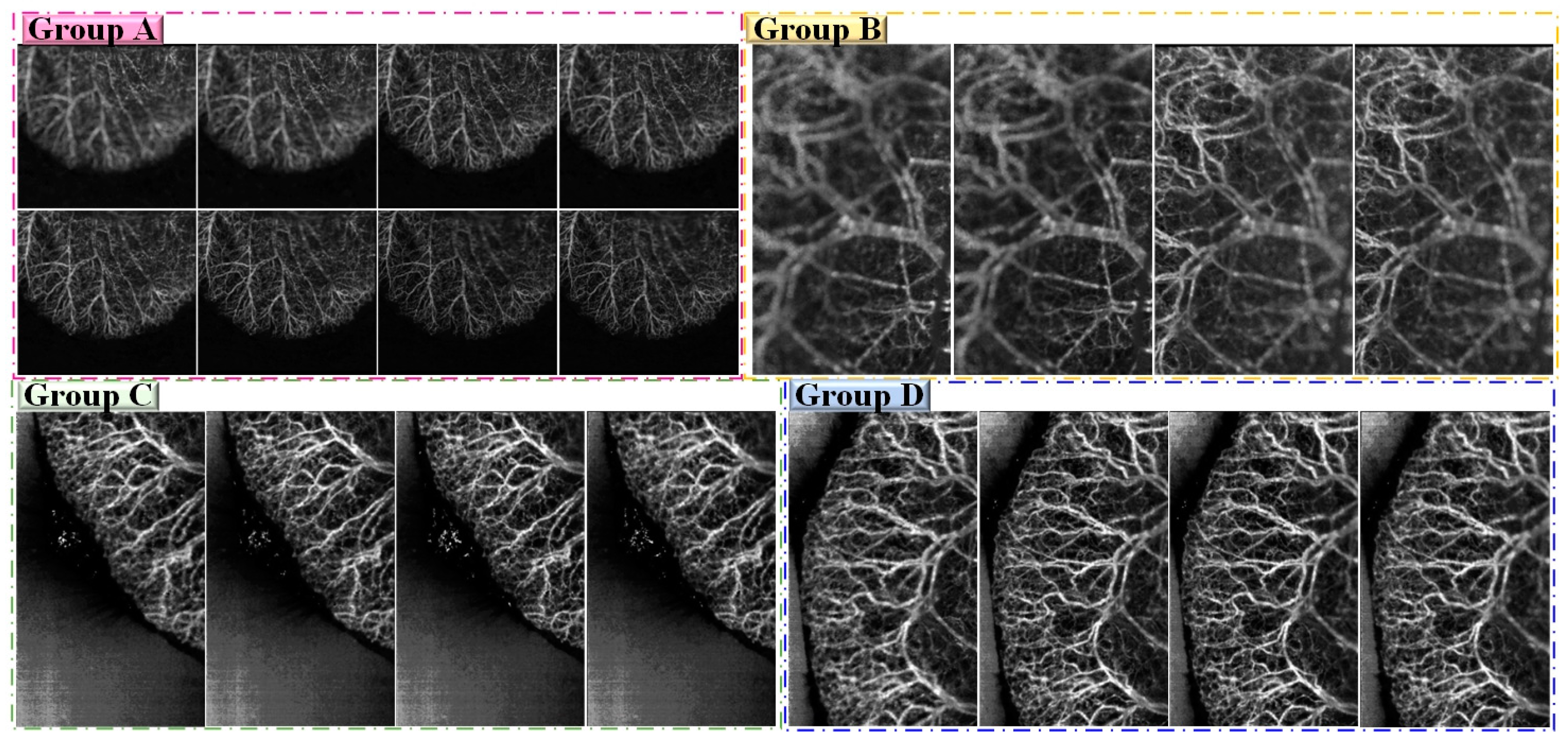 Entropy 25 00951 g003