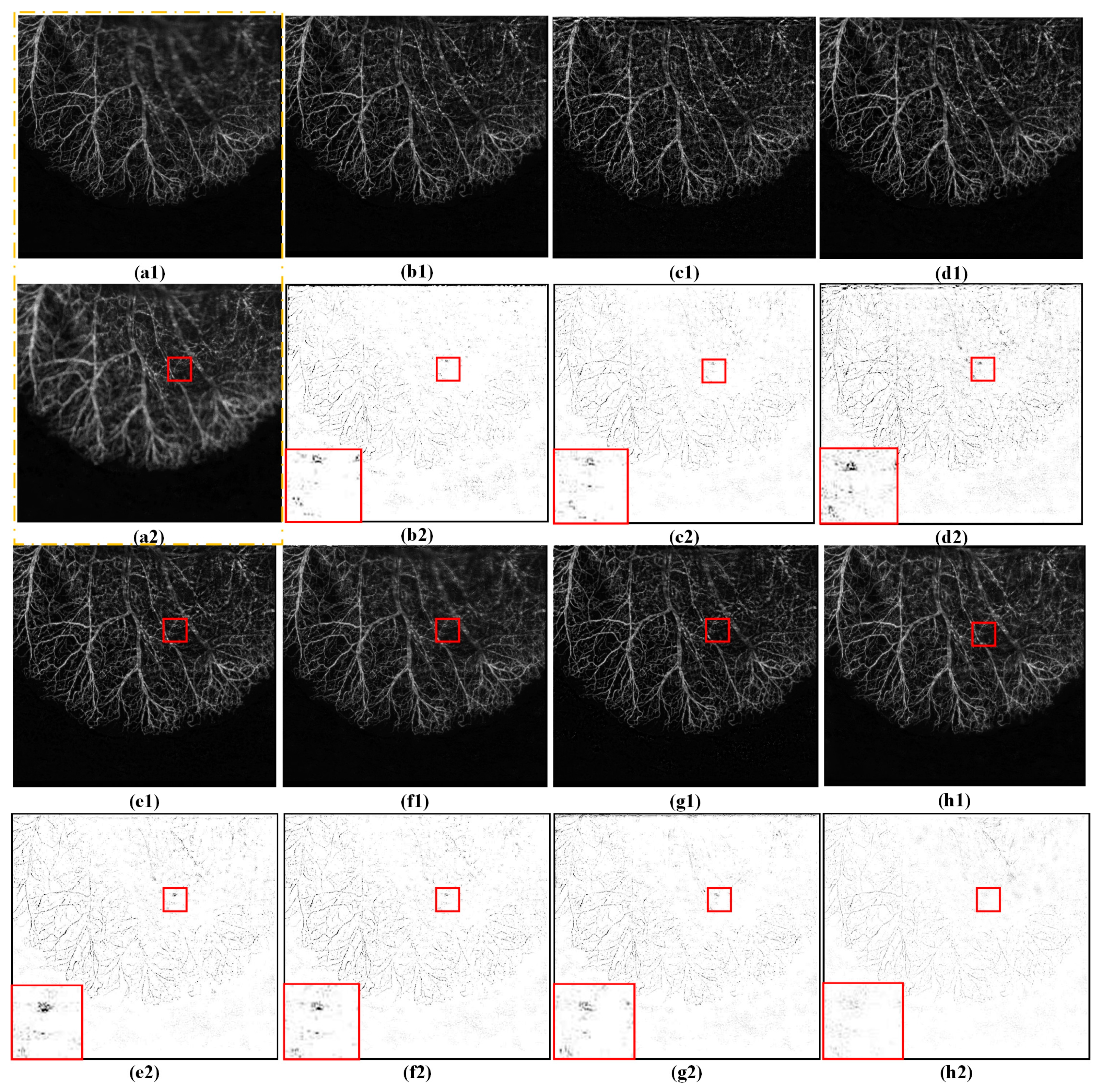 Entropy 25 00951 g004