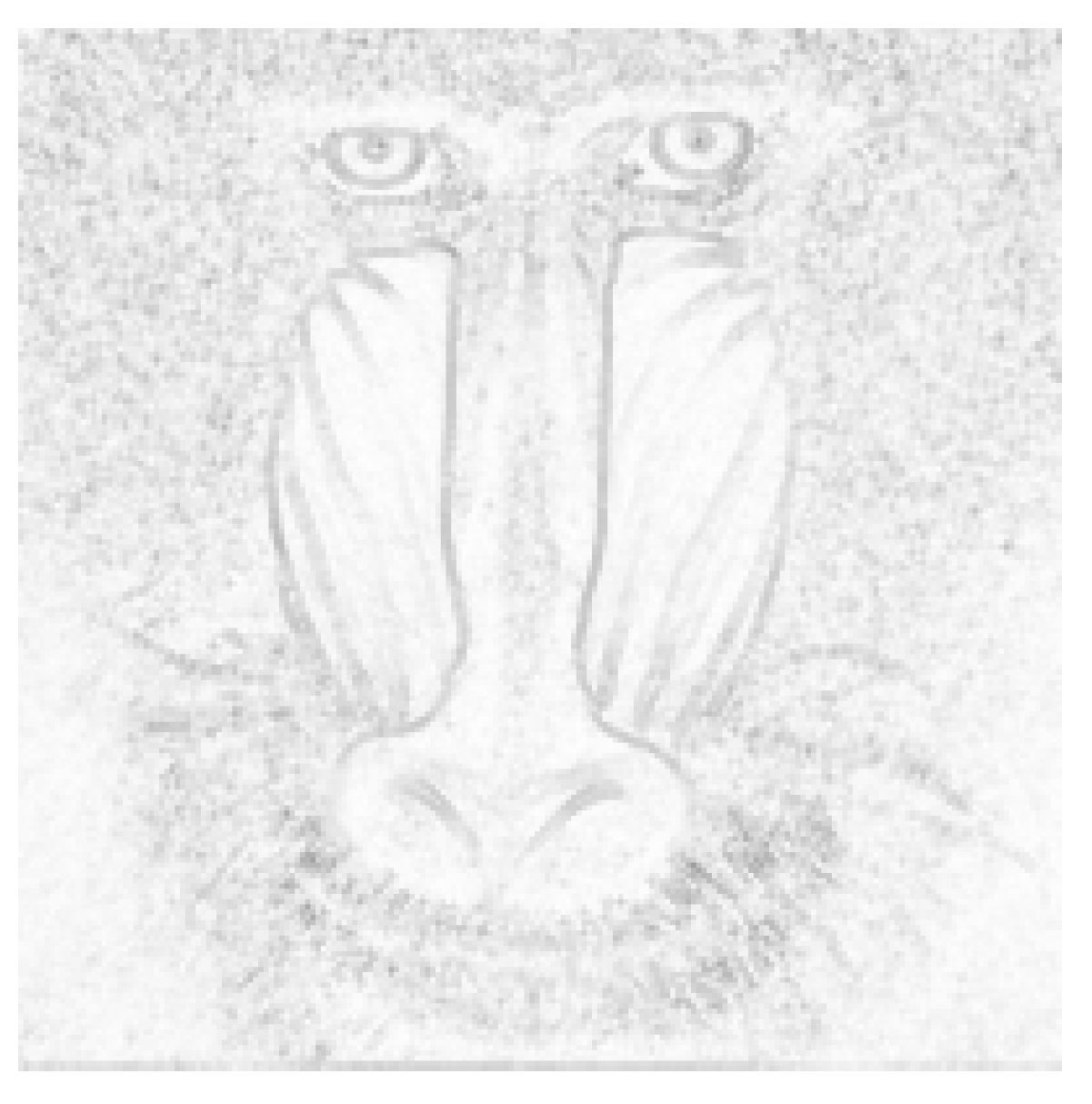 Entropy 25 00963 g003