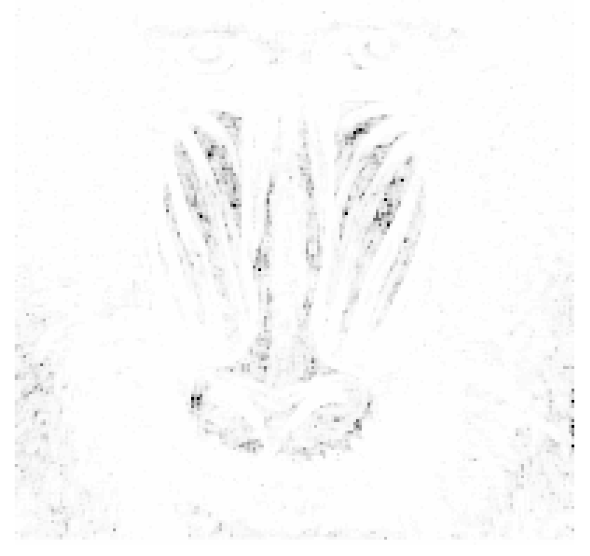 Entropy 25 00963 g005