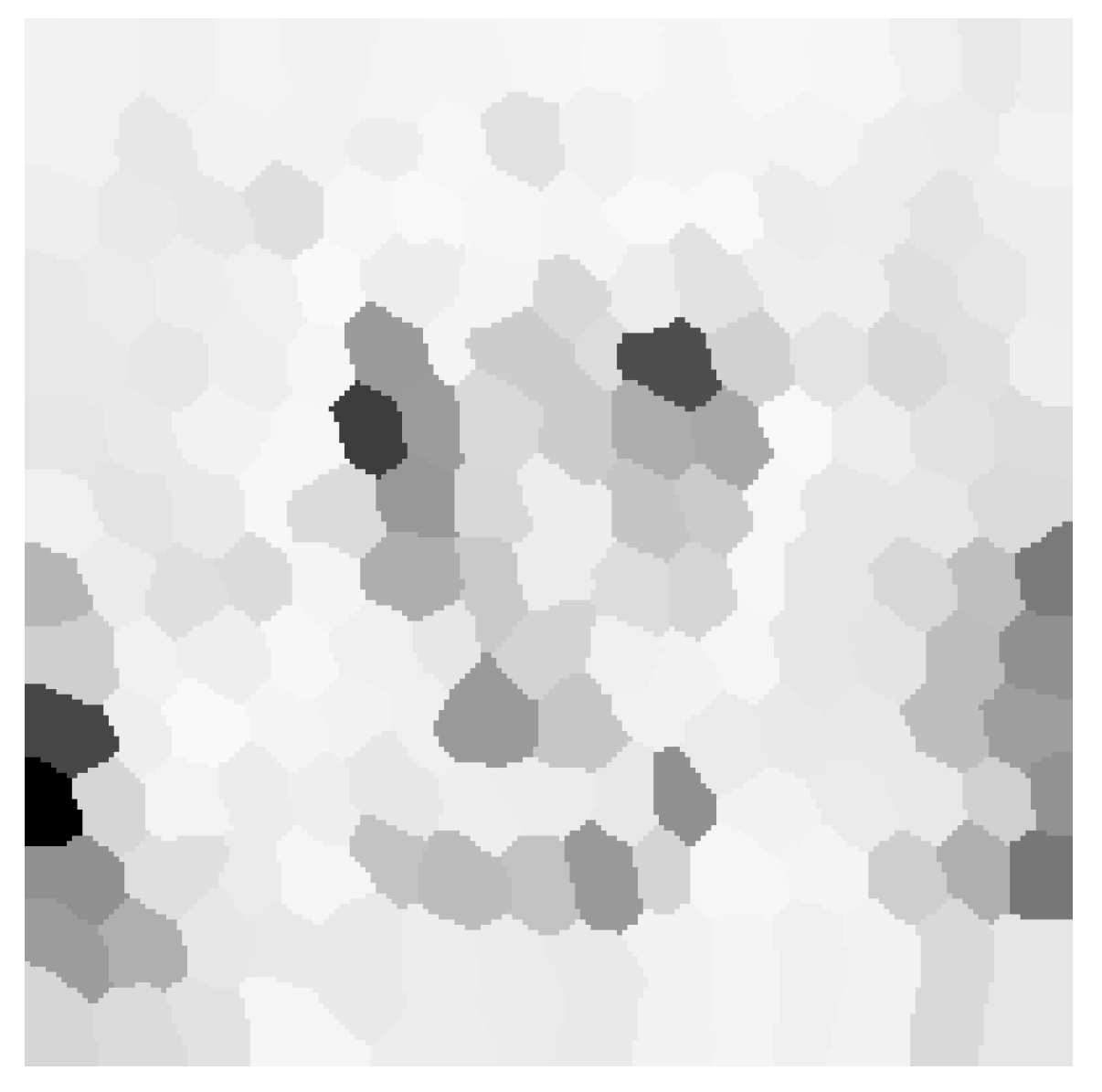 Entropy 25 00963 g006