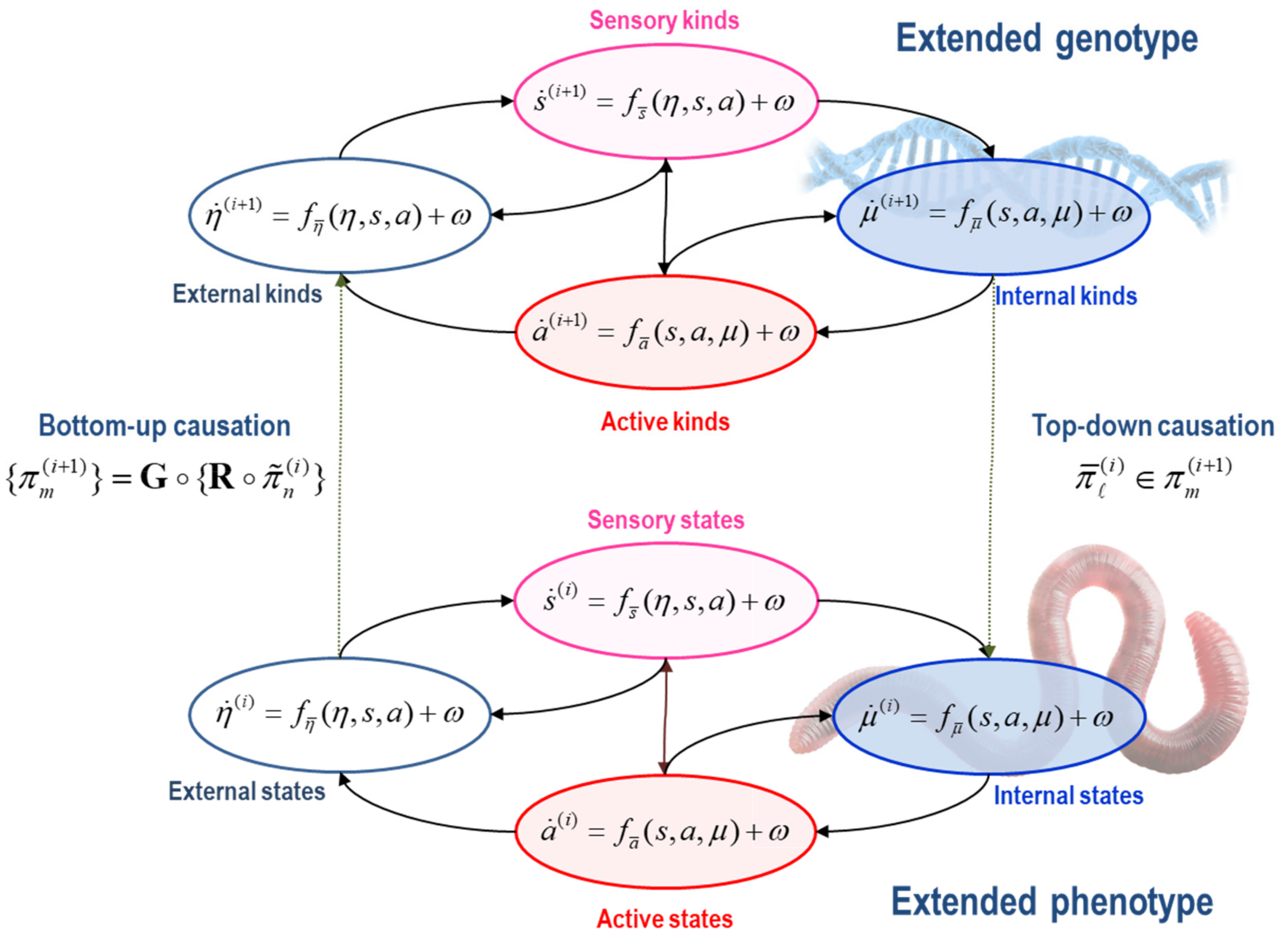 Entropy 25 00964 g001