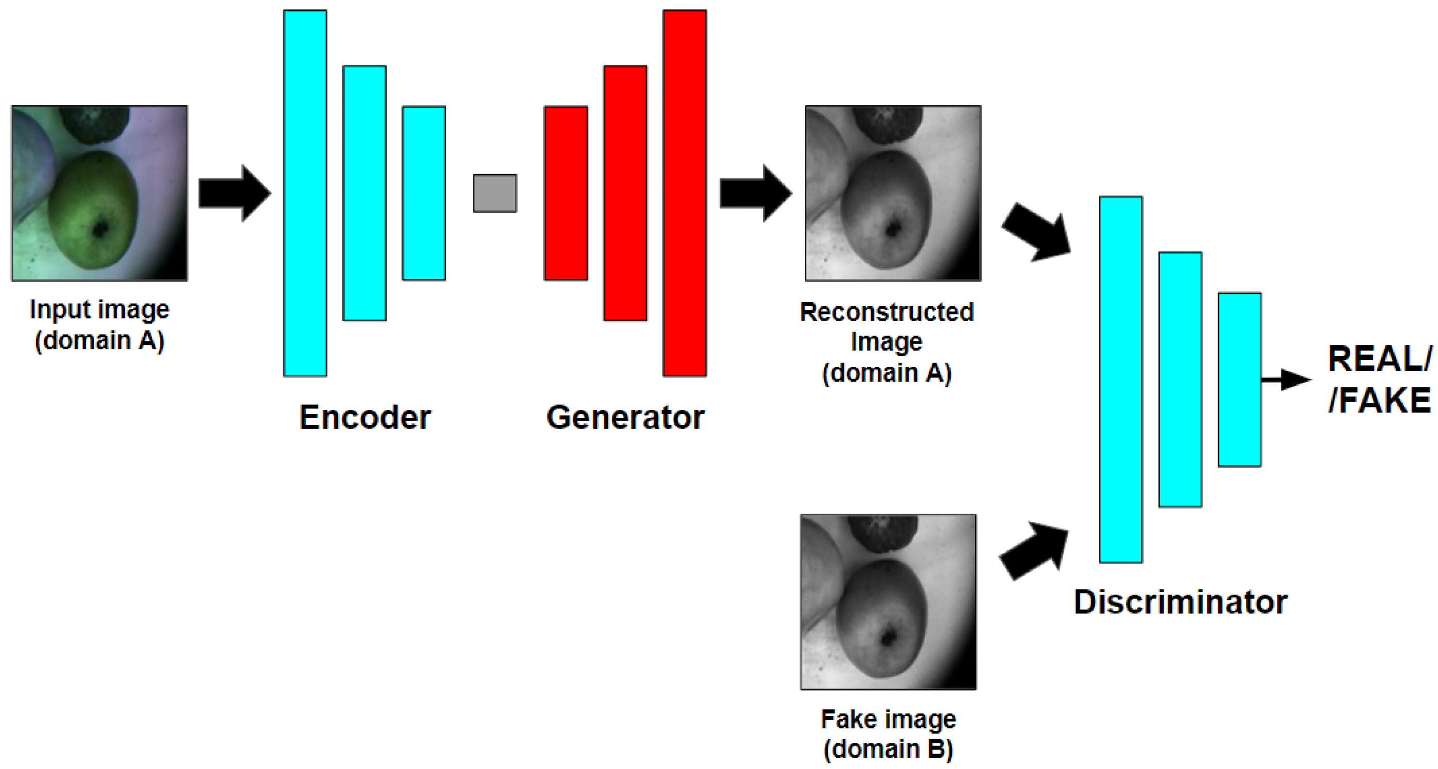 Entropy 25 00987 g002 Entropy 25 00987 g002