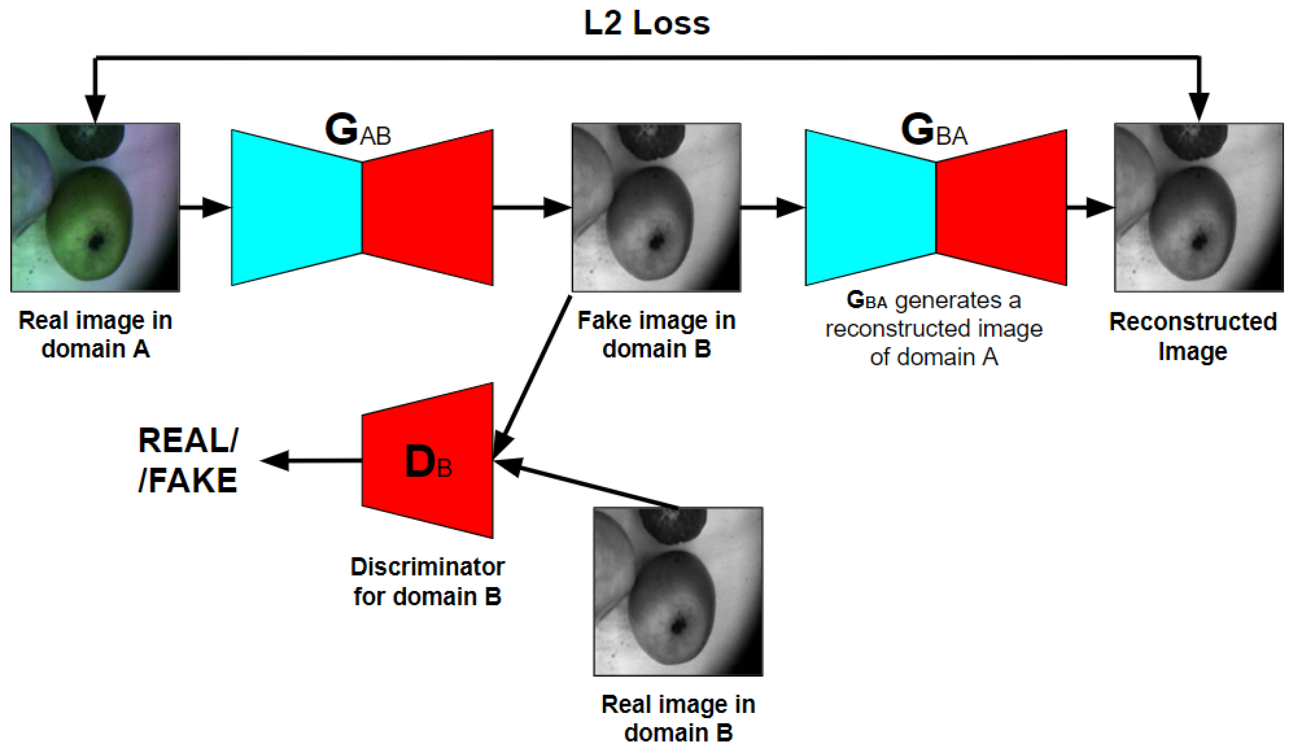 Entropy 25 00987 g003 Entropy 25 00987 g003