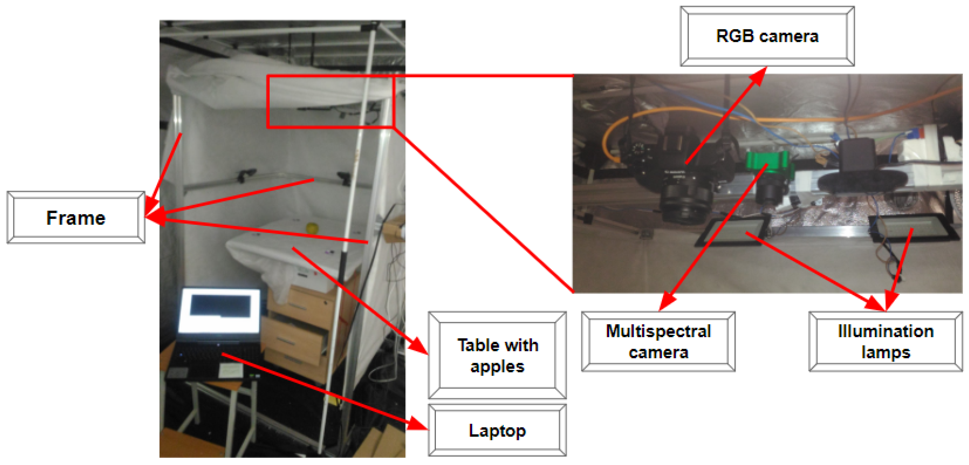 Entropy 25 00987 g007 Entropy 25 00987 g007