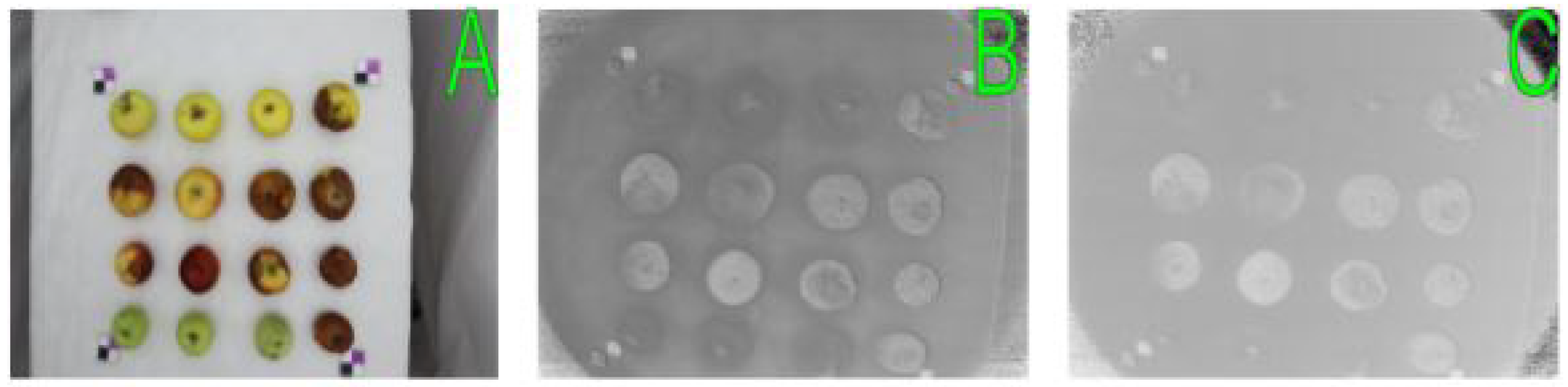 Entropy 25 00987 g008 Entropy 25 00987 g008