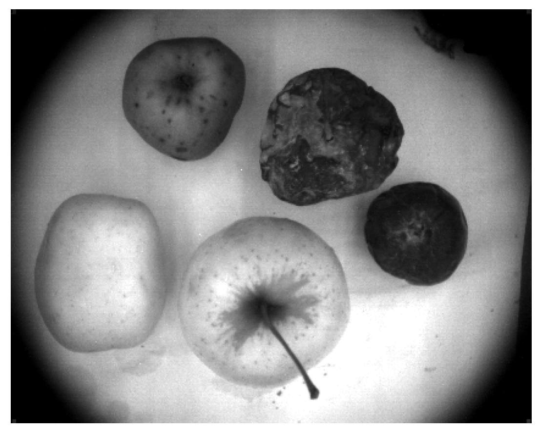 Entropy 25 00987 g009 Entropy 25 00987 g009