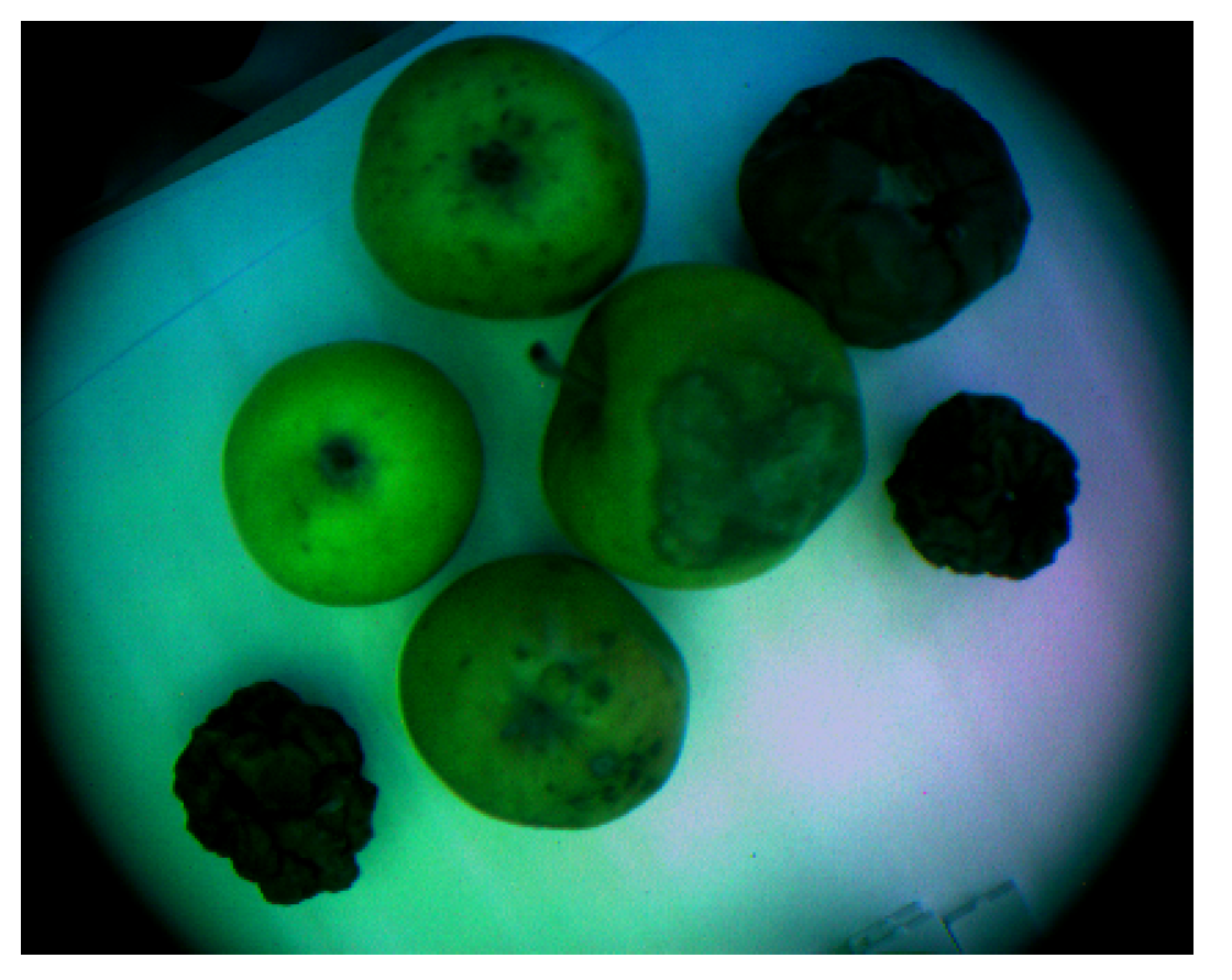 Entropy 25 00987 g011 Entropy 25 00987 g011