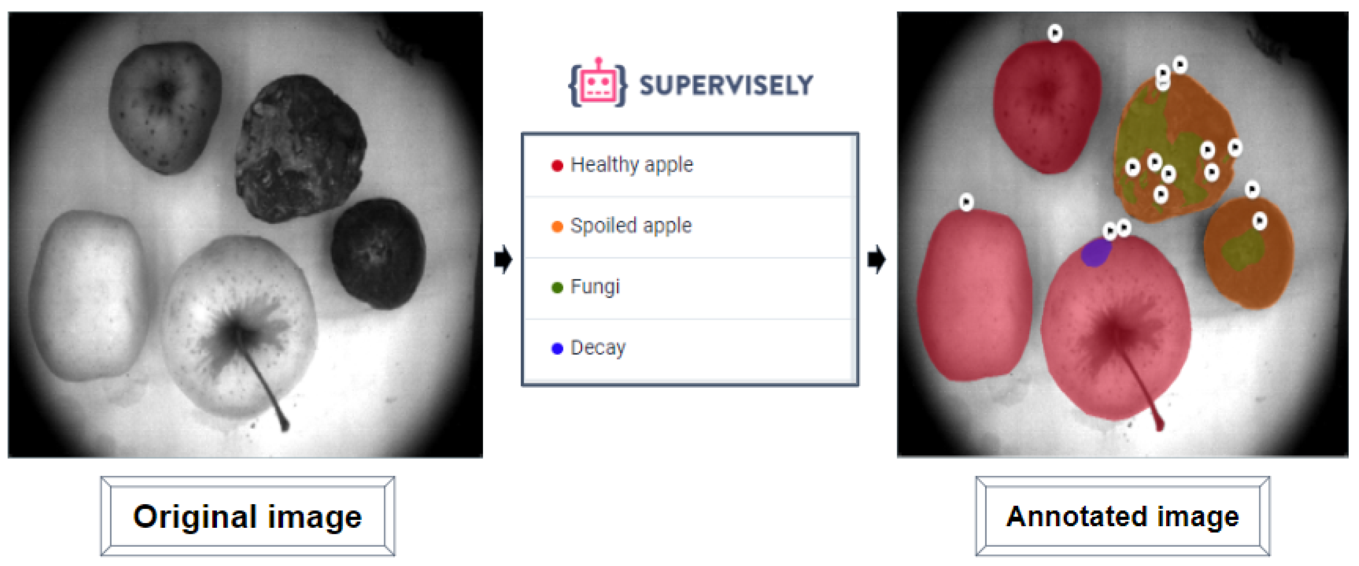 Entropy 25 00987 g012 Entropy 25 00987 g012