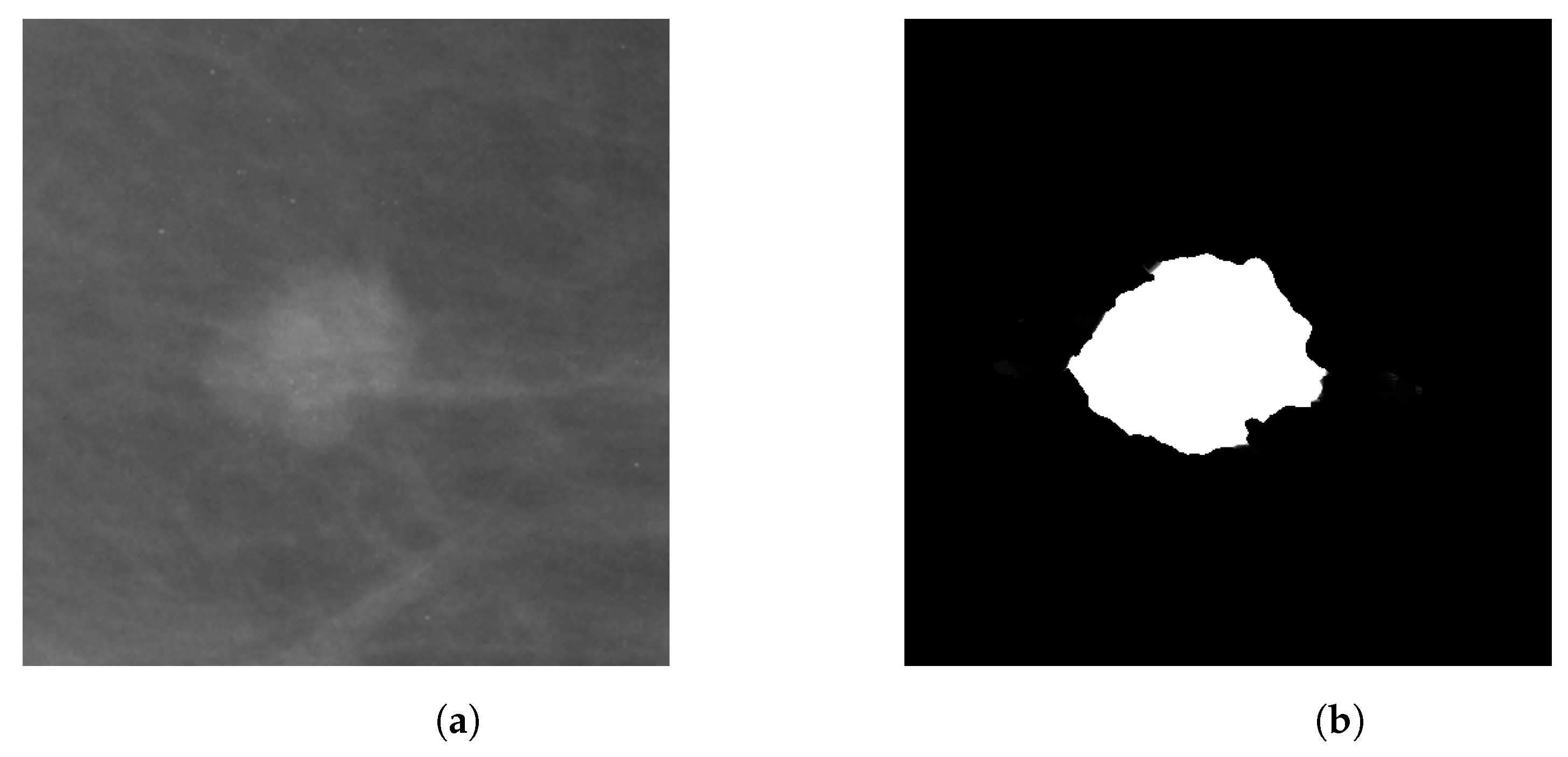 Entropy 25 00991 g005