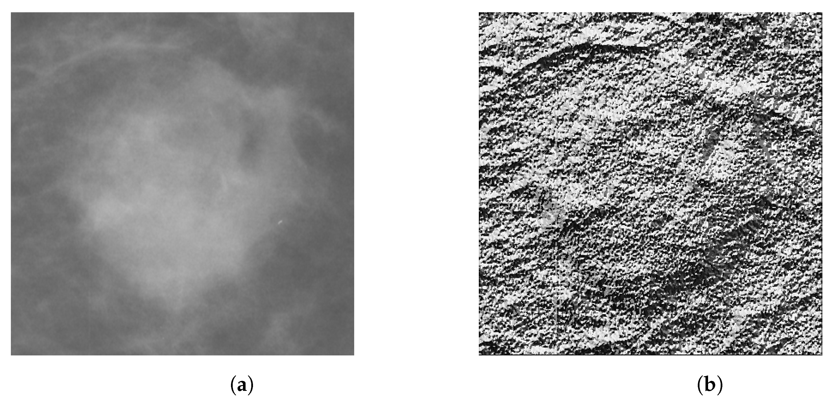 Entropy 25 00991 g008