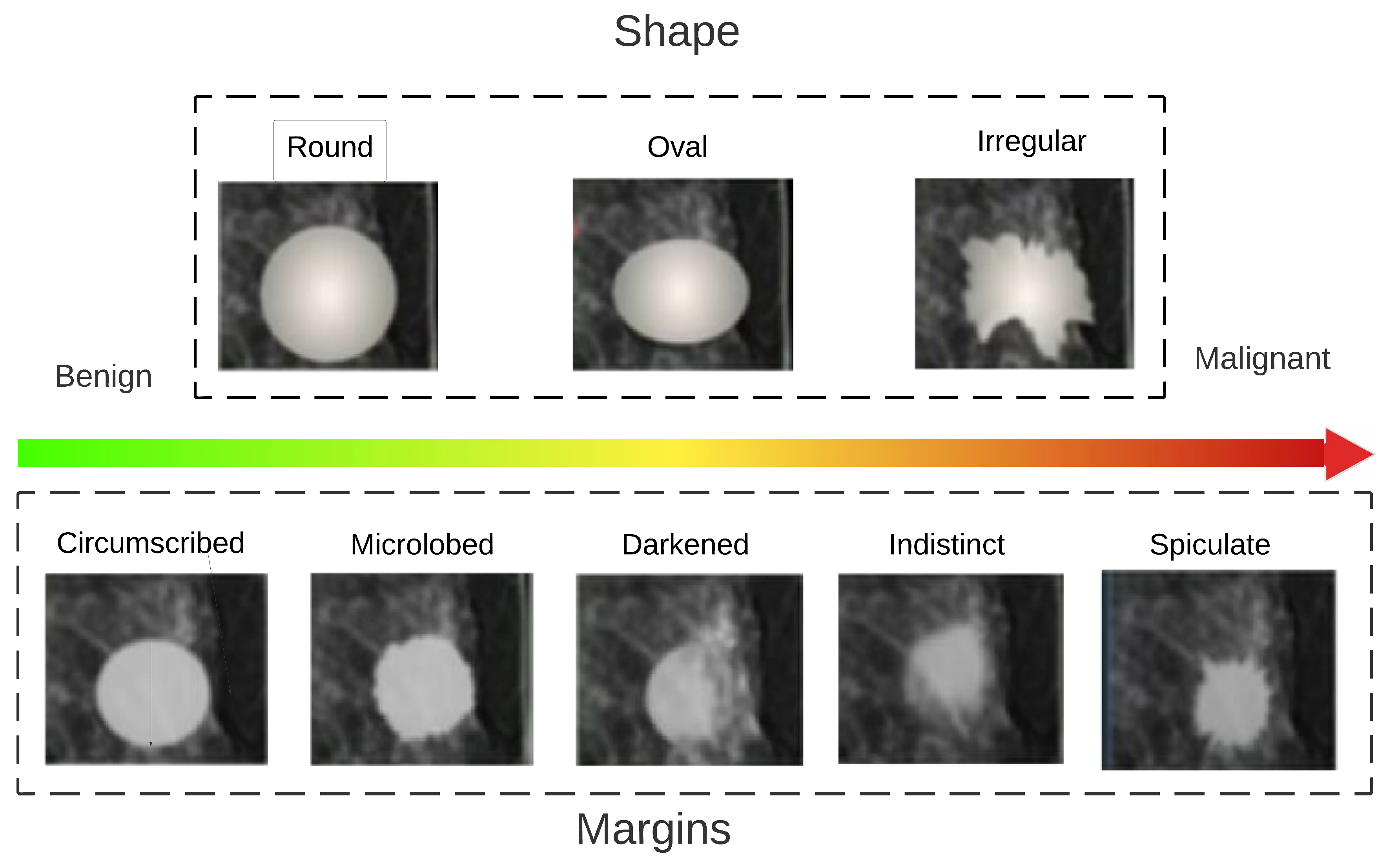 Entropy 25 00991 g012