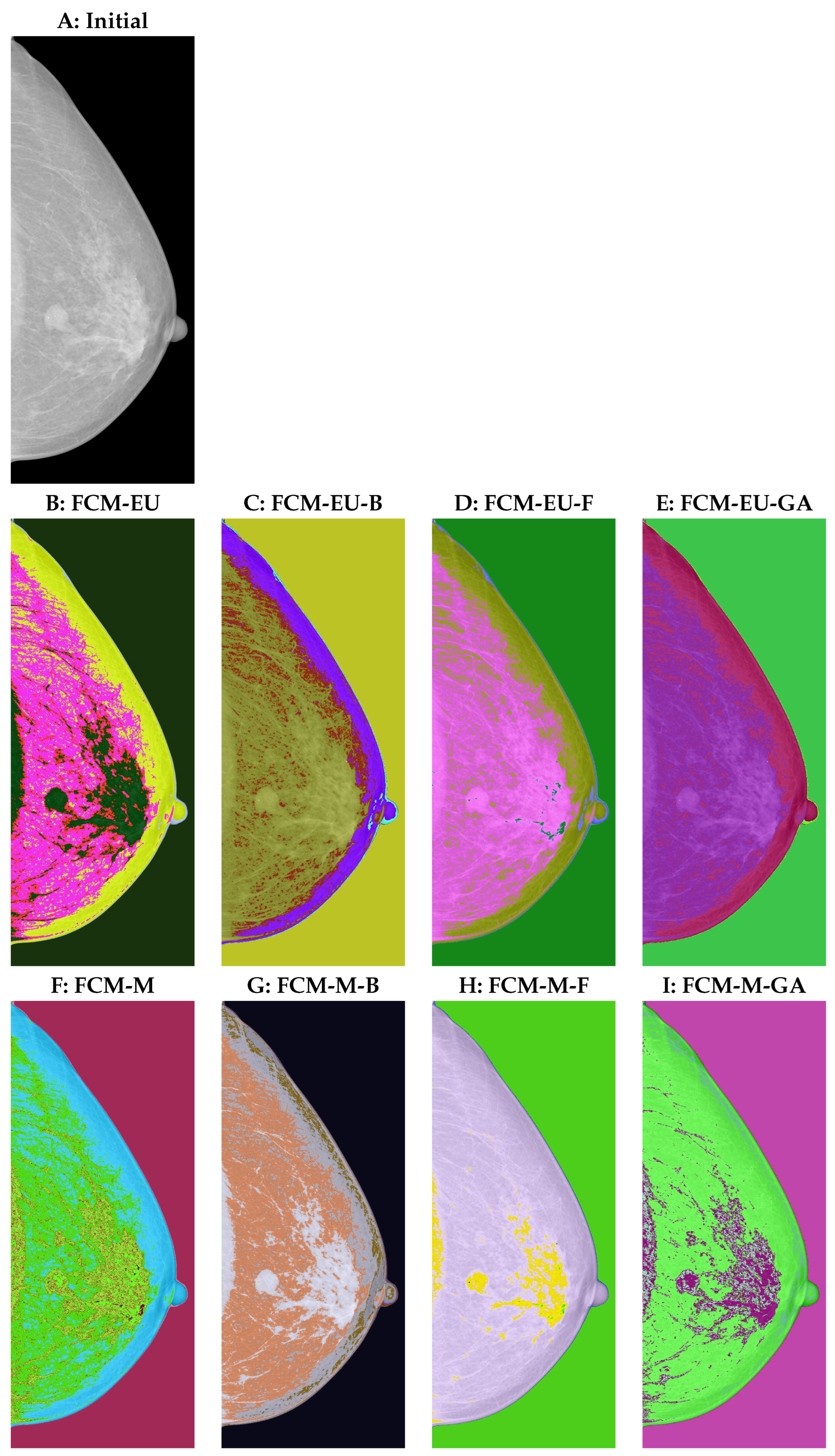 Entropy 25 01021 g002 Entropy 25 01021 g002