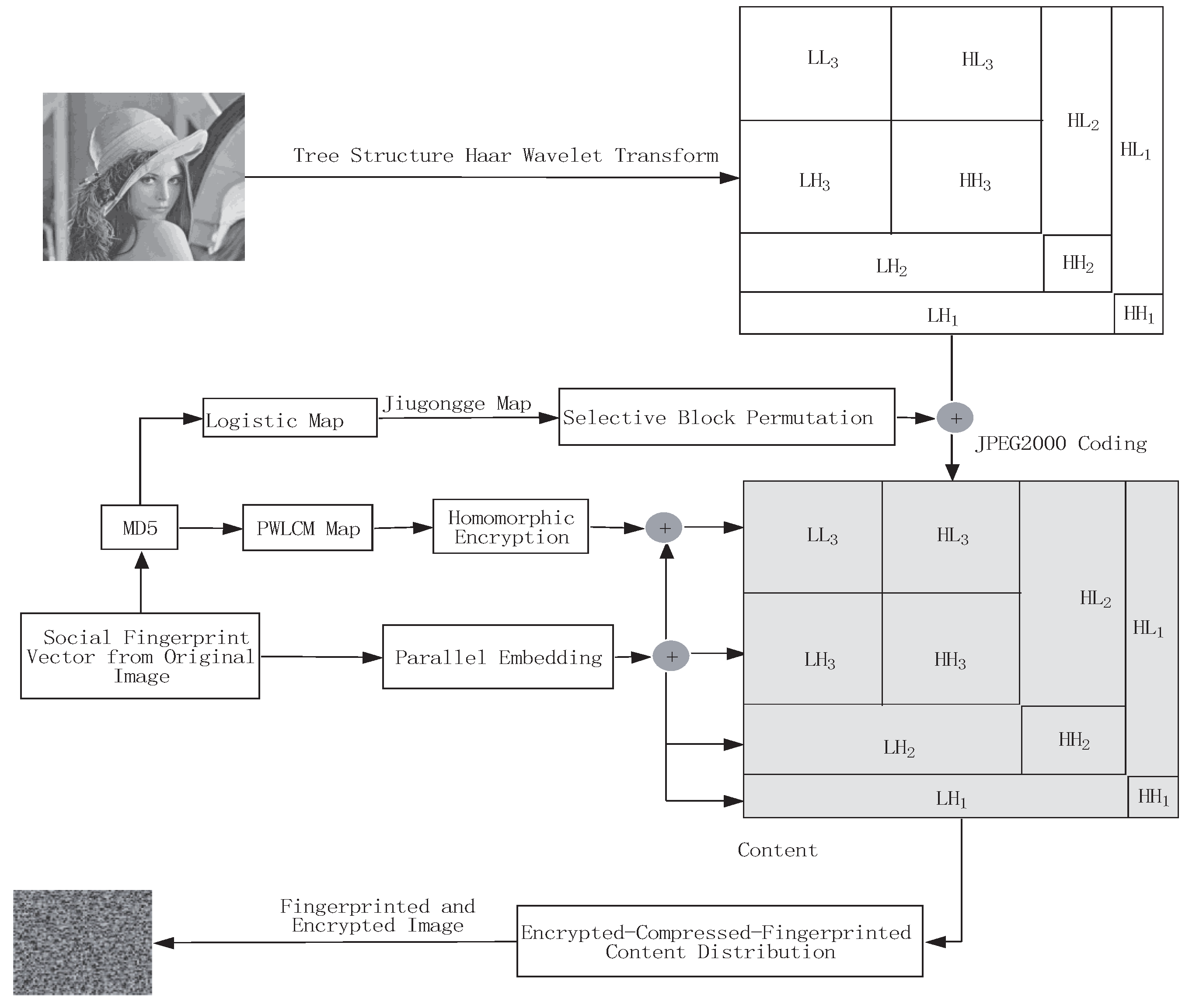 Entropy 25 01031 g002