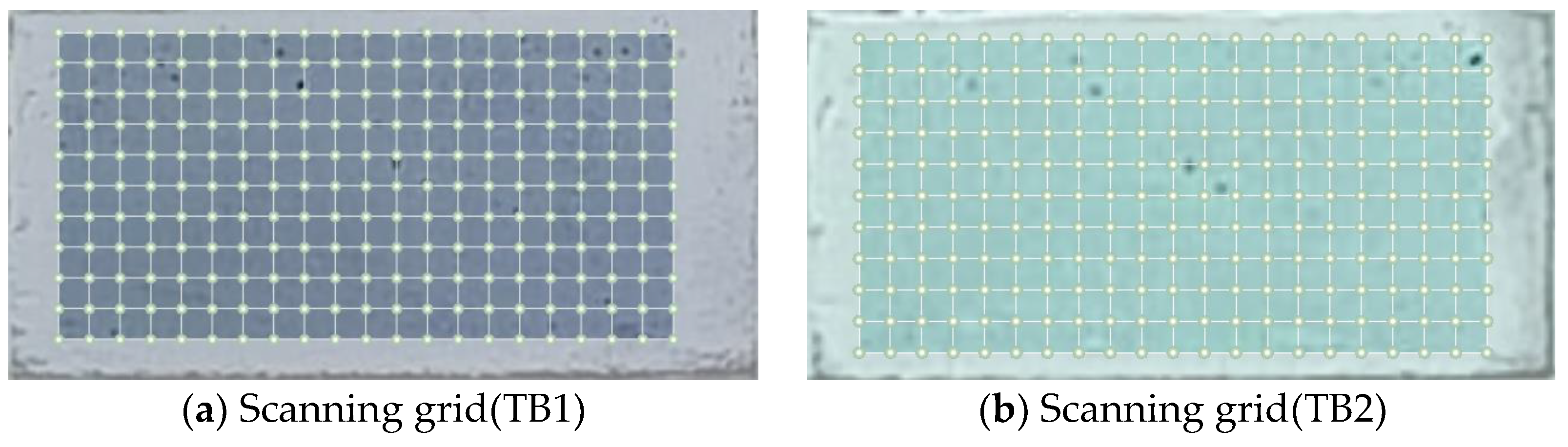 Entropy 25 01034 g007 Entropy 25 01034 g007
