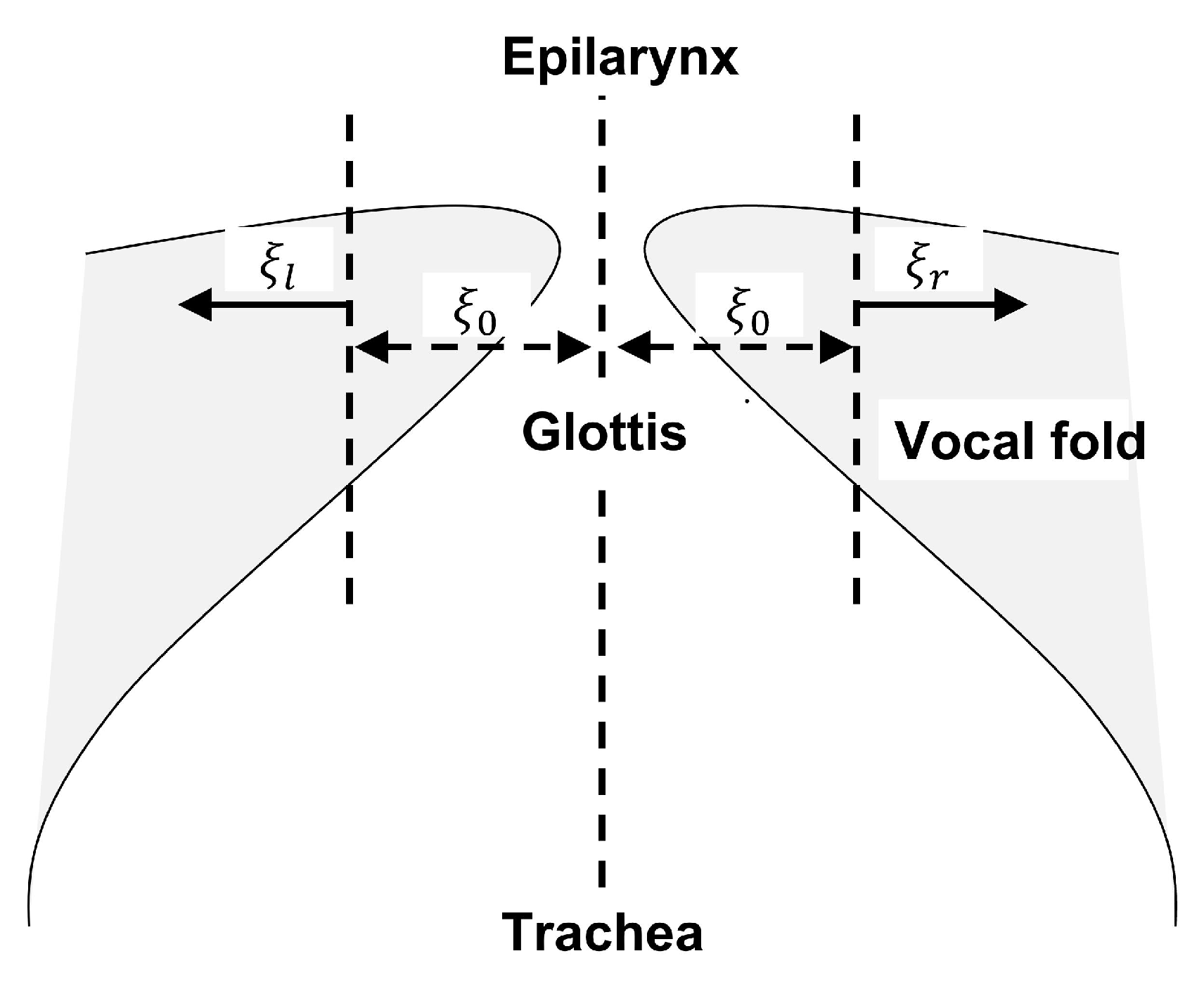Entropy 25 01039 g003
