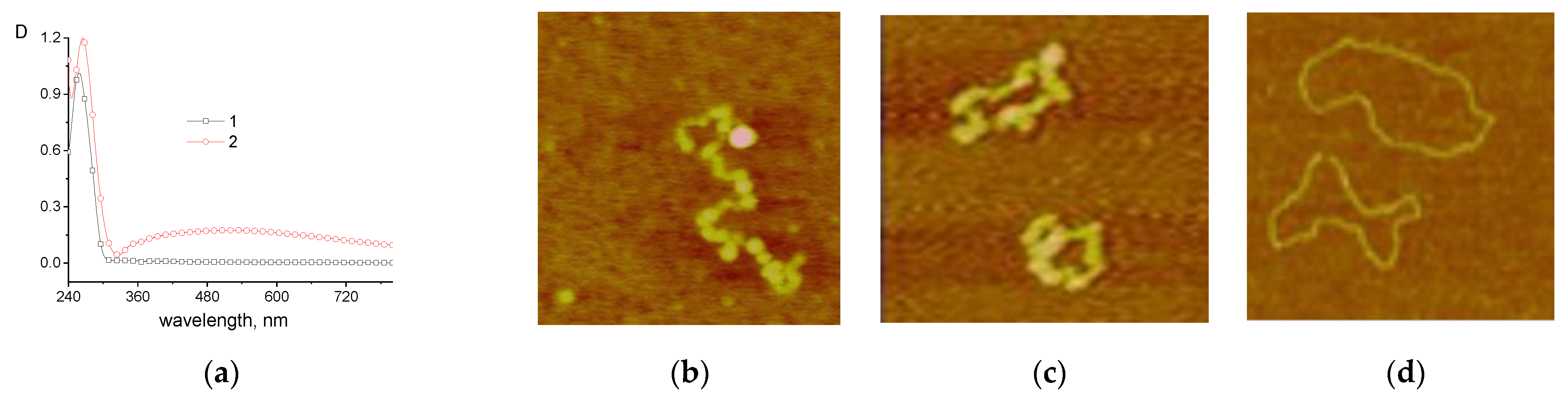 Entropy 25 01052 g011