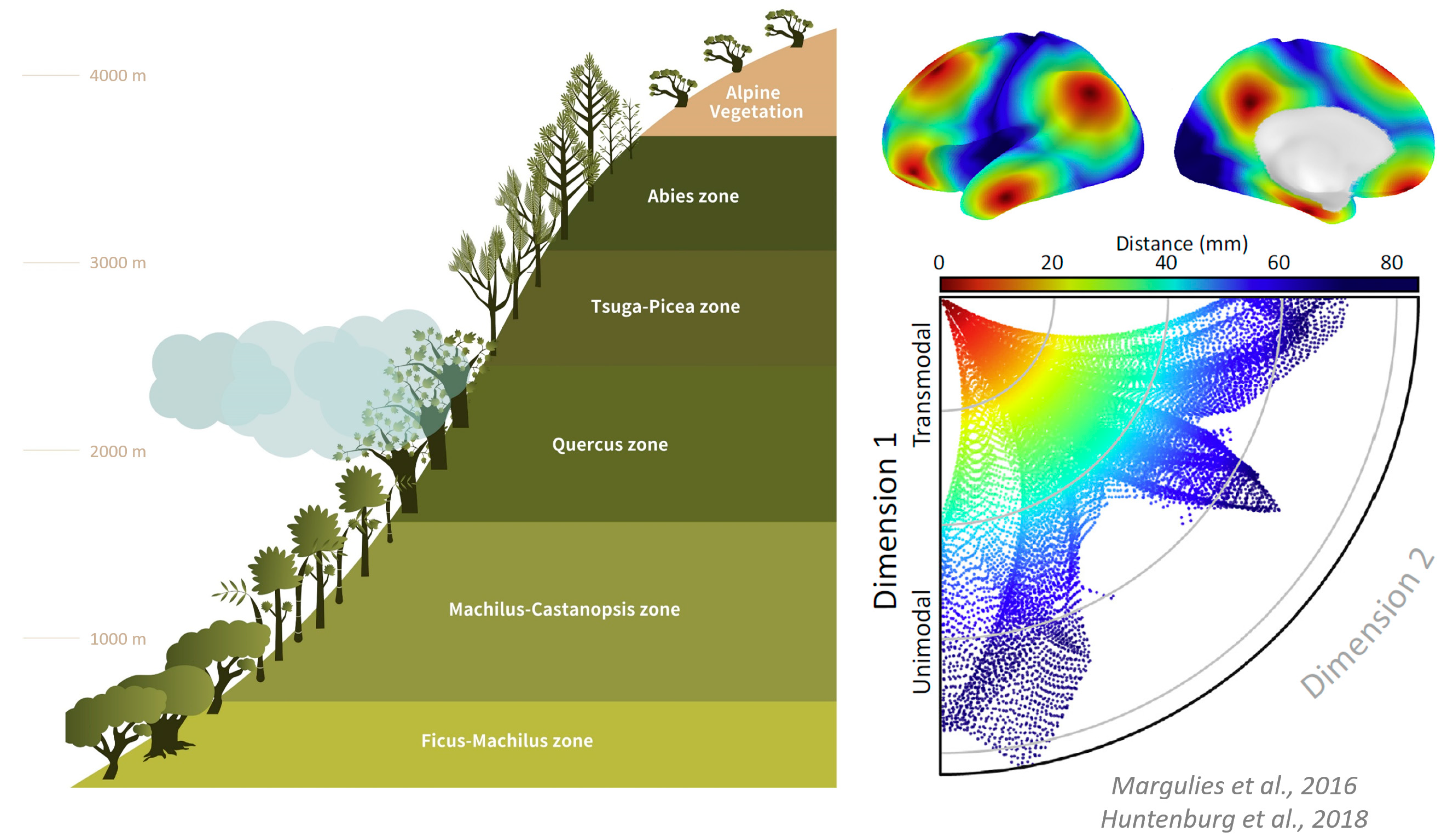 Entropy 25 01074 g005 Entropy 25 01074 g005