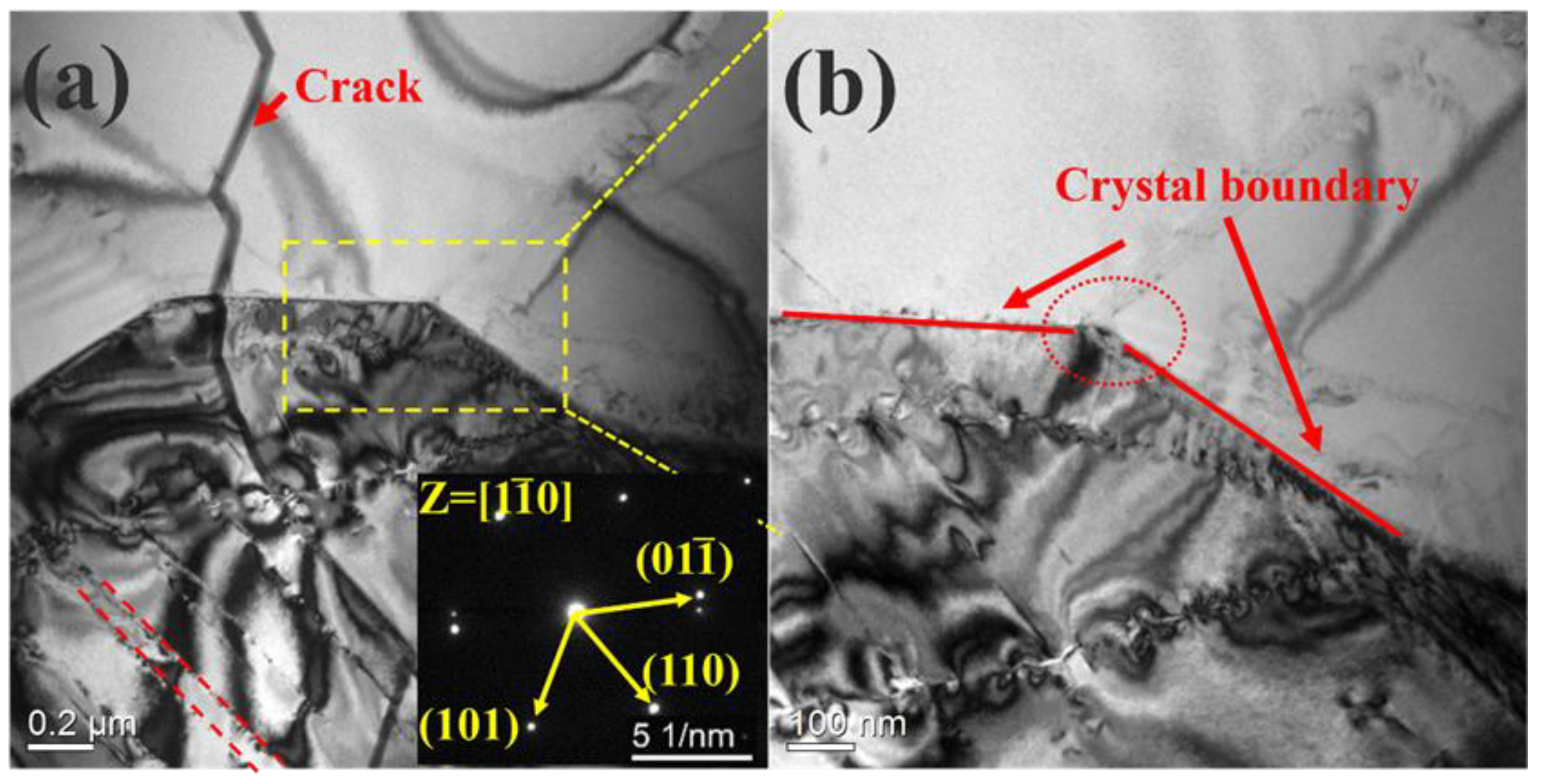 Entropy 25 01124 g002 Entropy 25 01124 g002