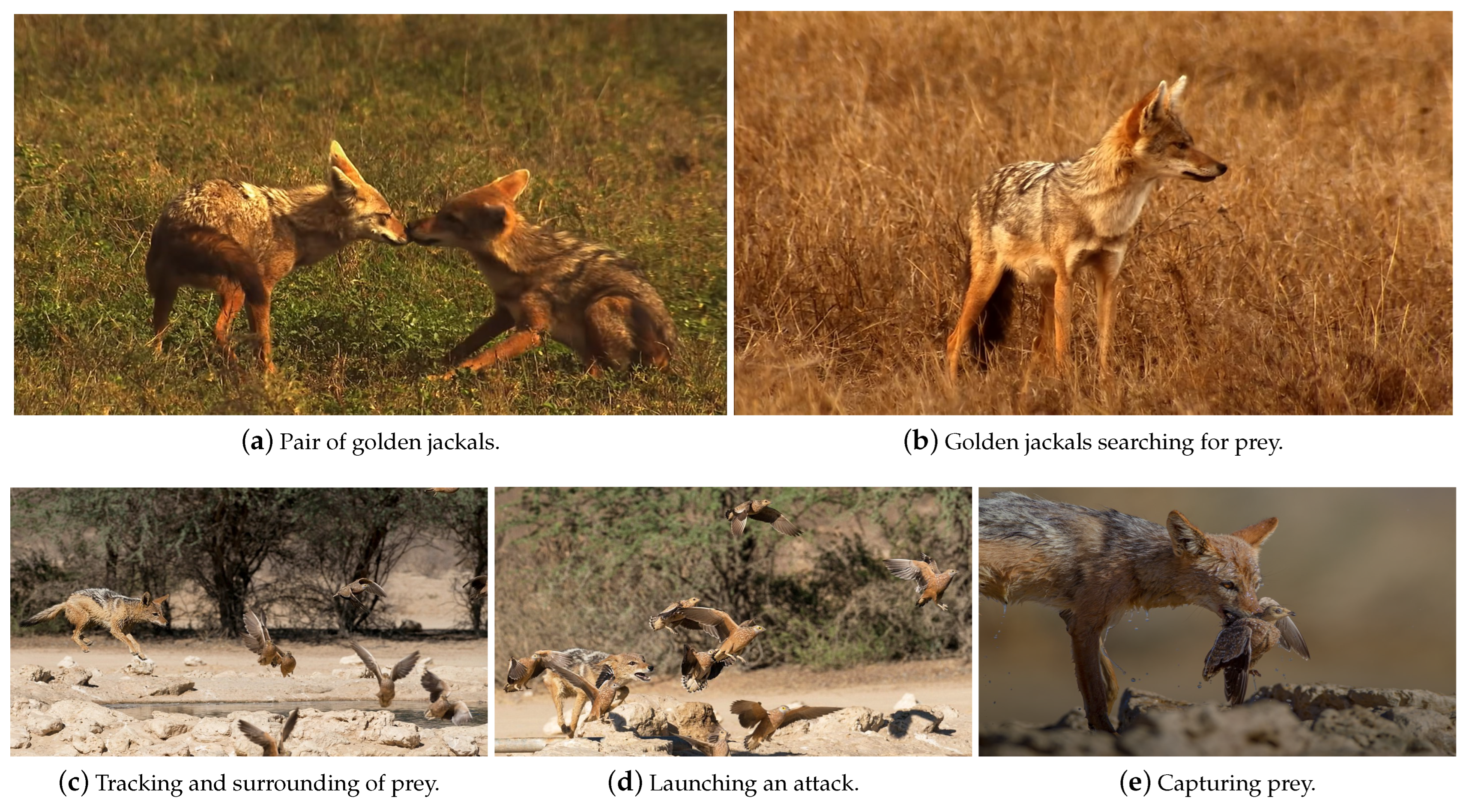 Entropy 25 01128 g001 550